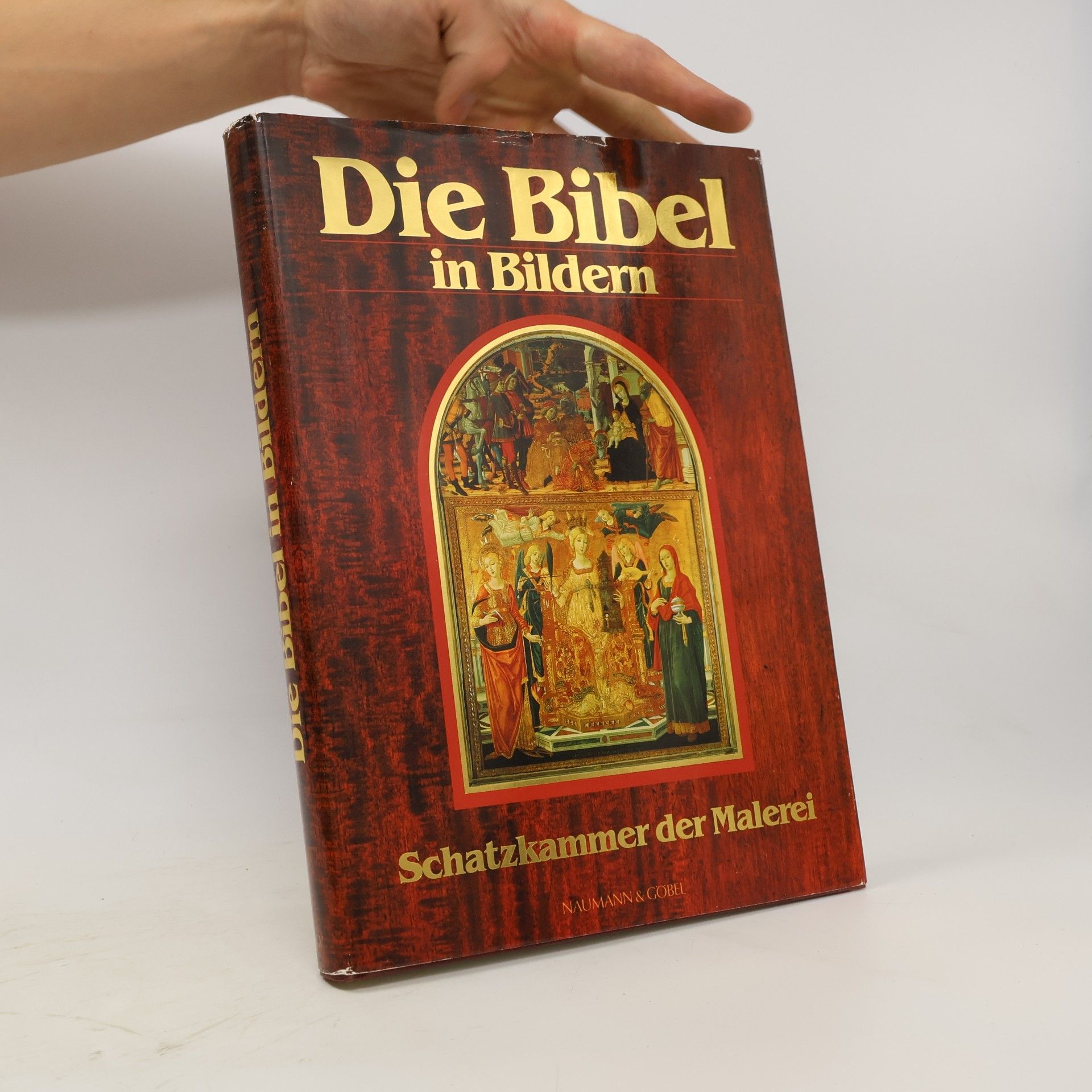 Kolektív autorov Die Bibel in Bildern. Schatzkammer der Malerei