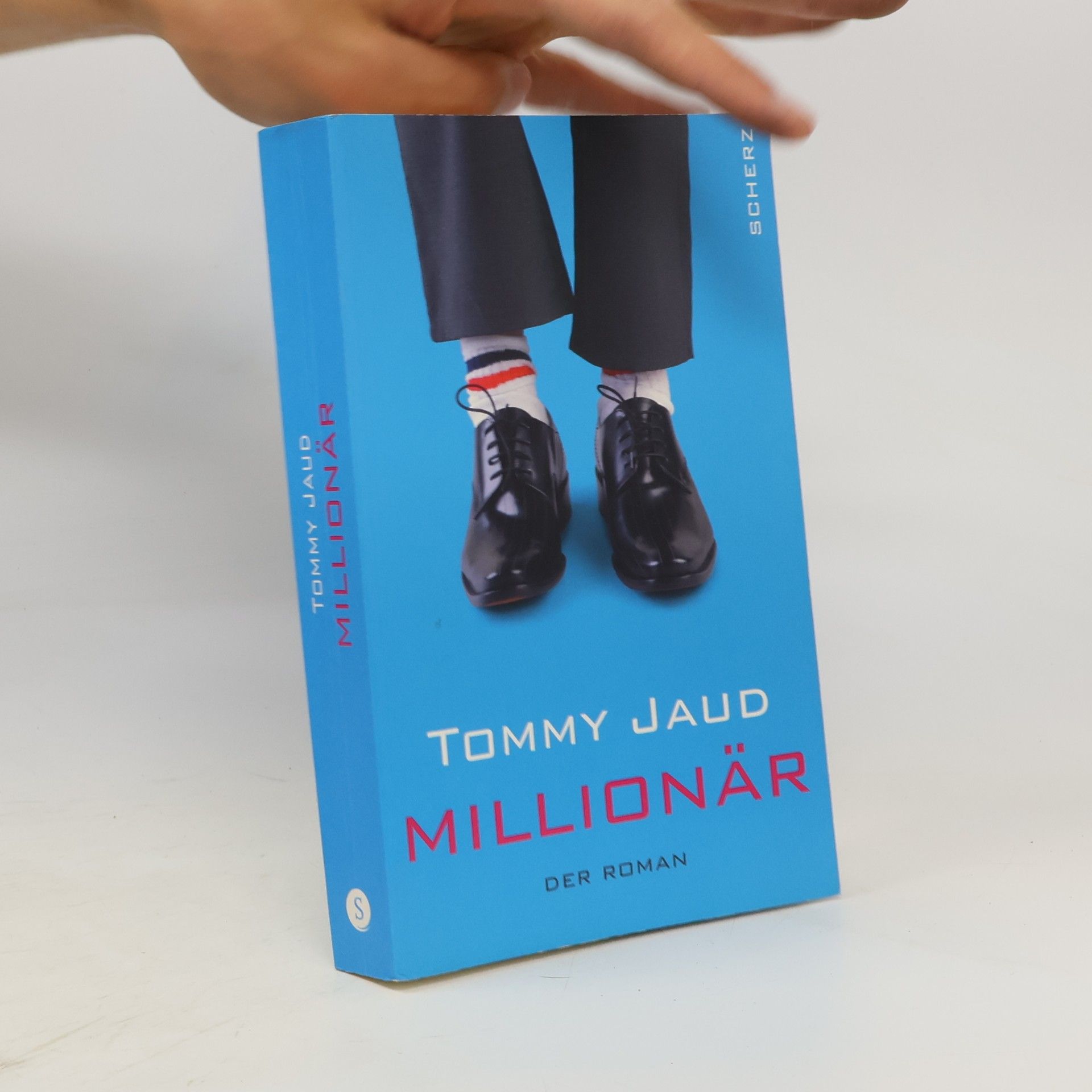 Tommy Jaud Millionär