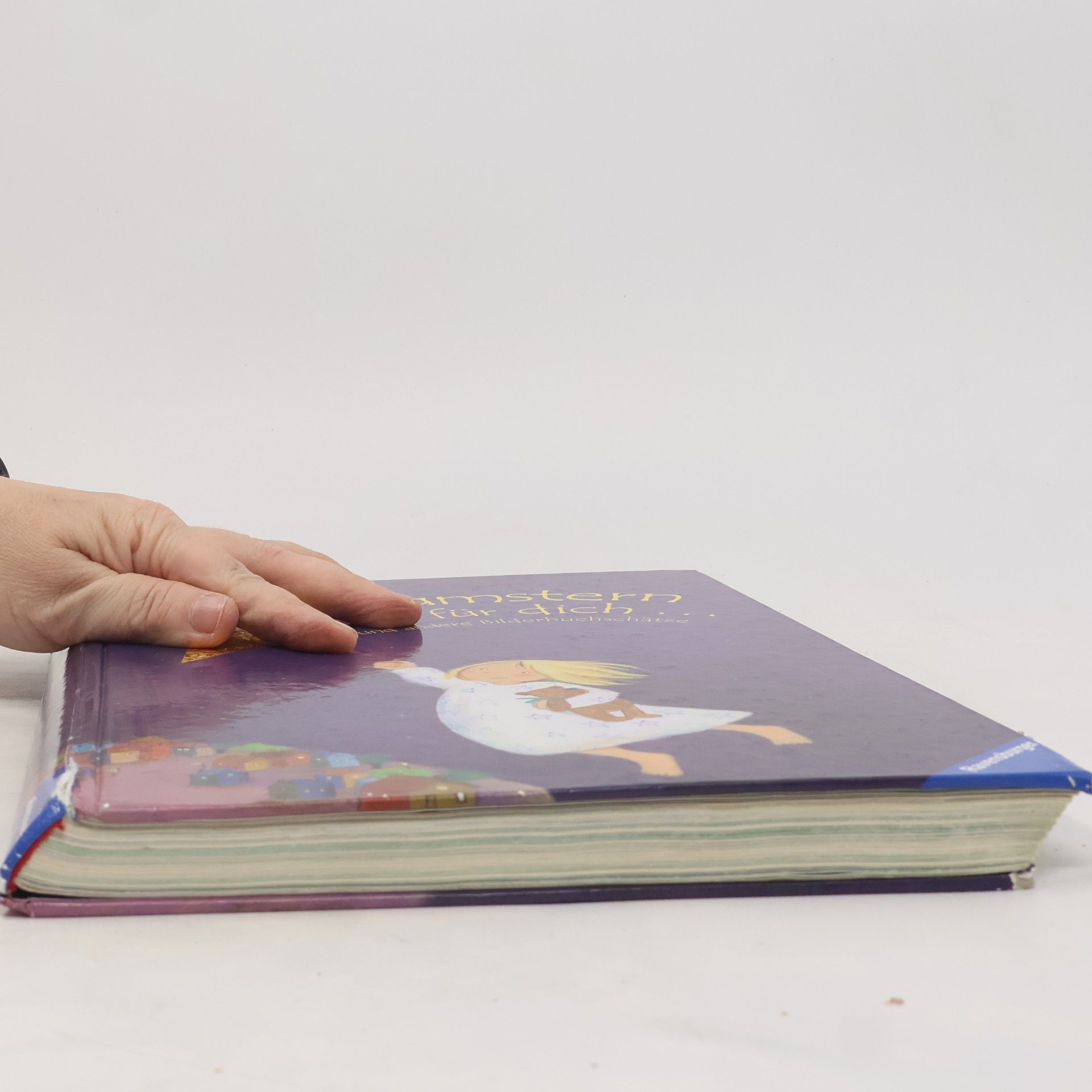 Autores varios Ein Traumstern für dich ... und andere Bilderbuchschätze