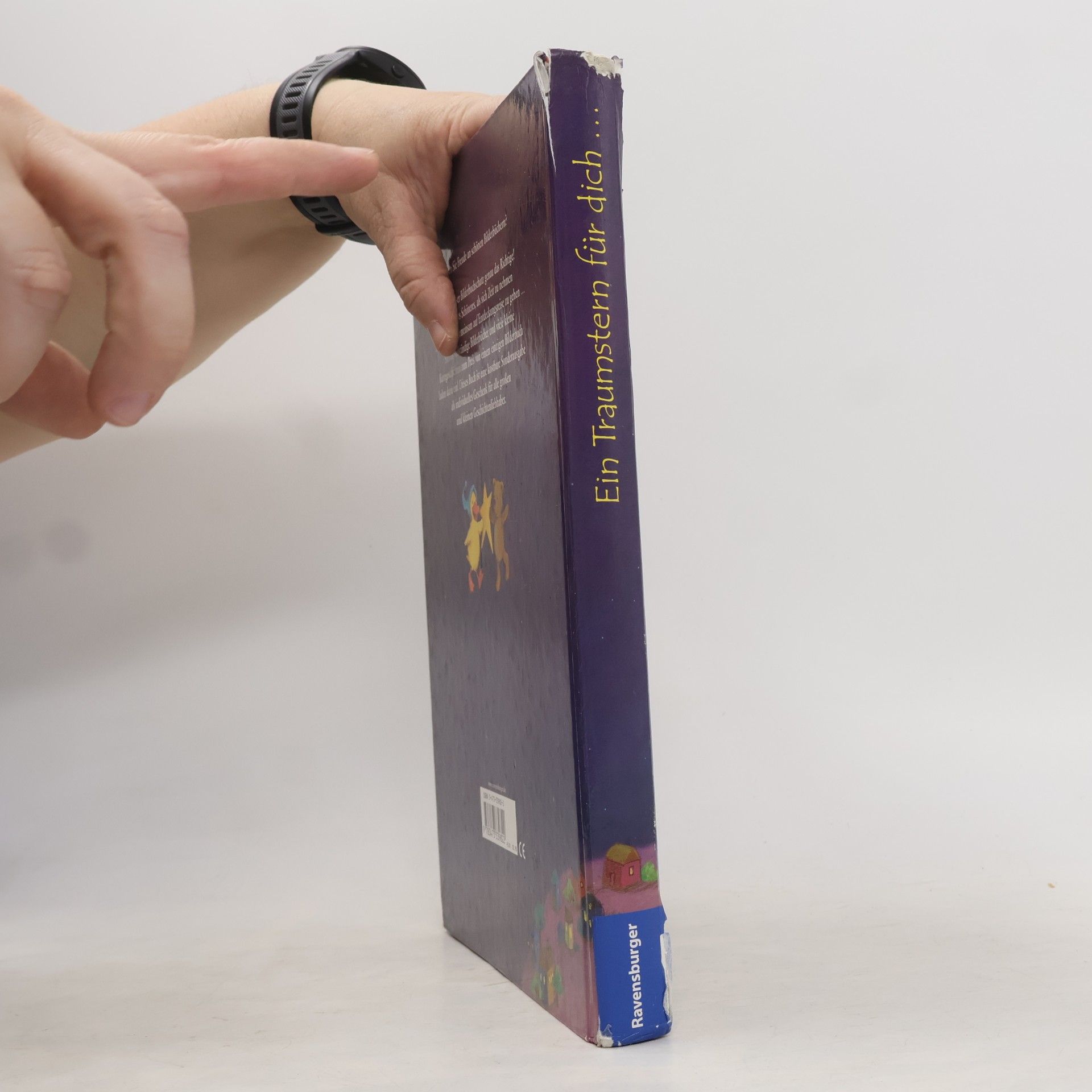 Autores varios Ein Traumstern für dich ... und andere Bilderbuchschätze