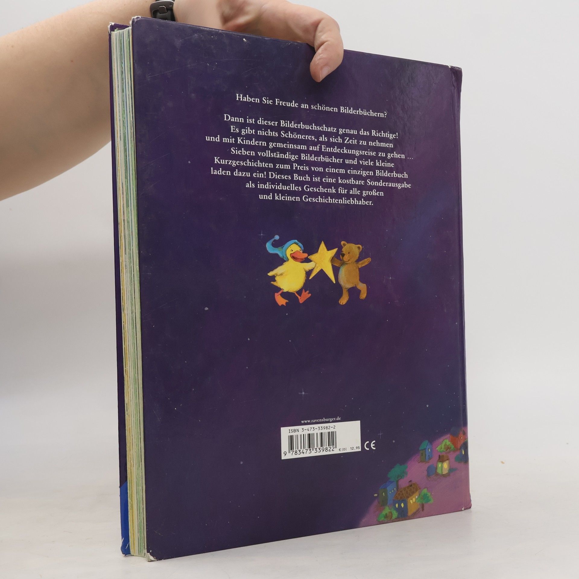Autores varios Ein Traumstern für dich ... und andere Bilderbuchschätze