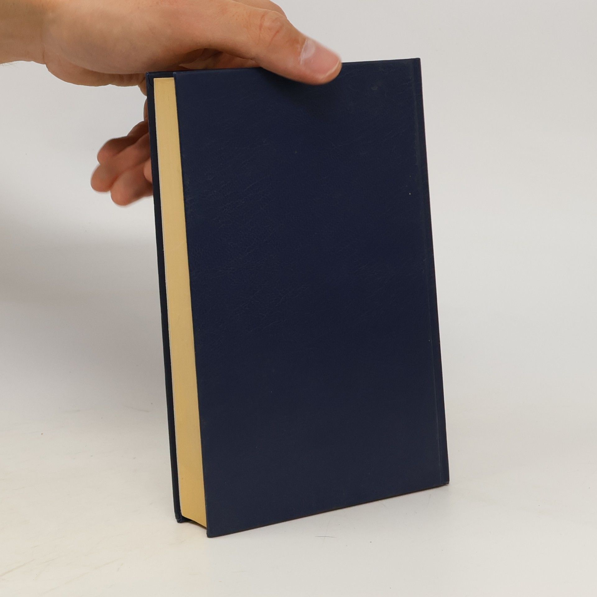 Immo Luschin Das Buch Mormon : Ein weiterer Zeuge für Jesus Christus