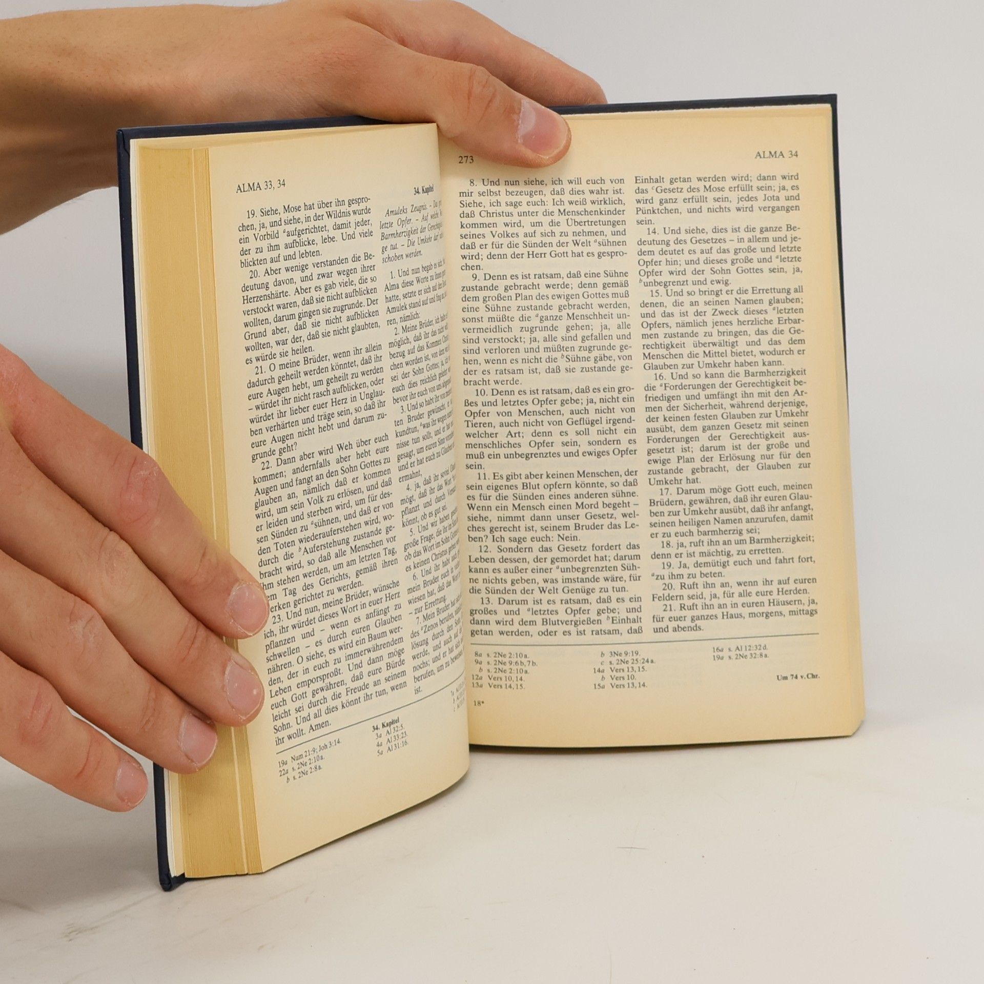 Immo Luschin Das Buch Mormon : Ein weiterer Zeuge für Jesus Christus