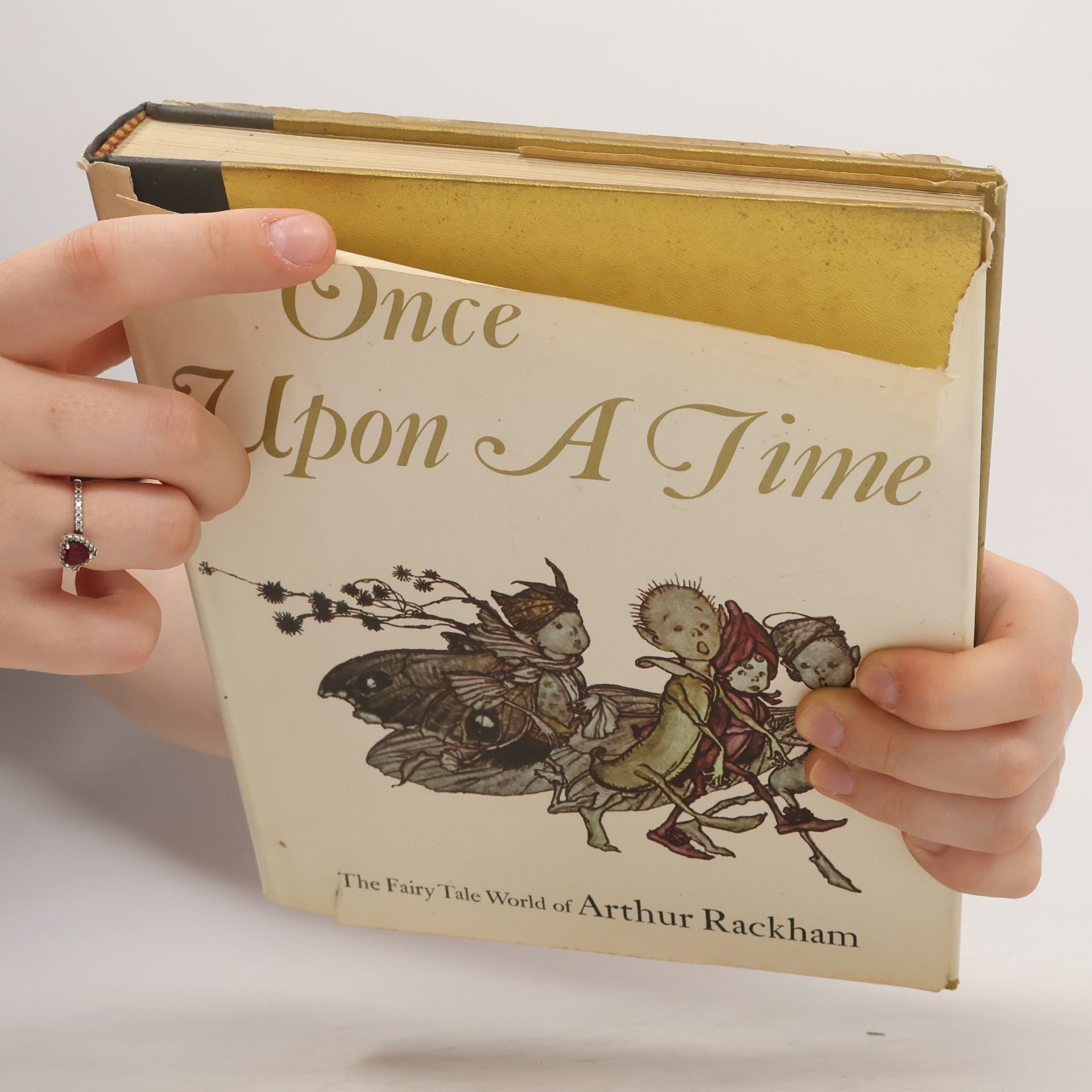 Arthur Rackham Once Upon a Time