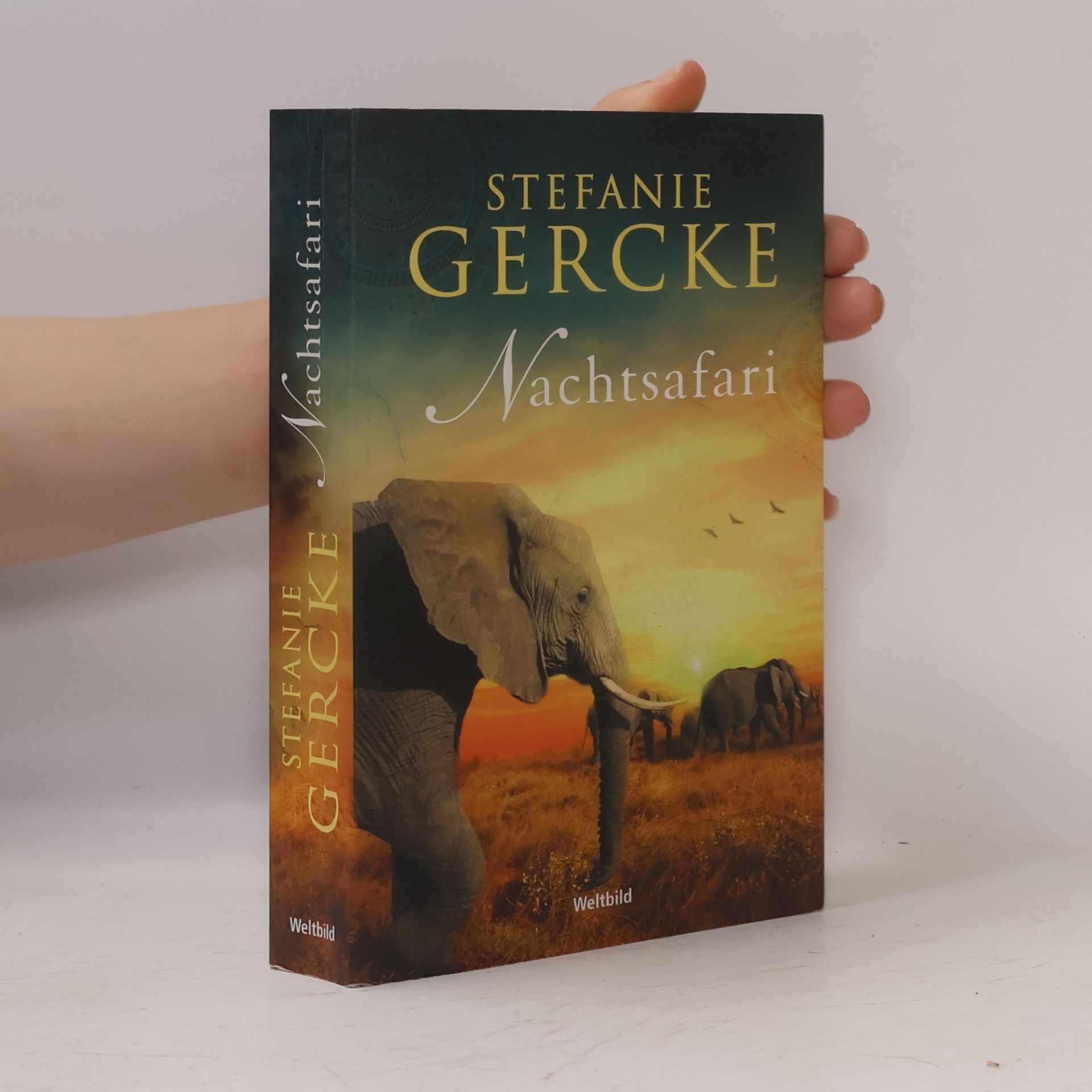 Stefanie Gercke Nachtsafari