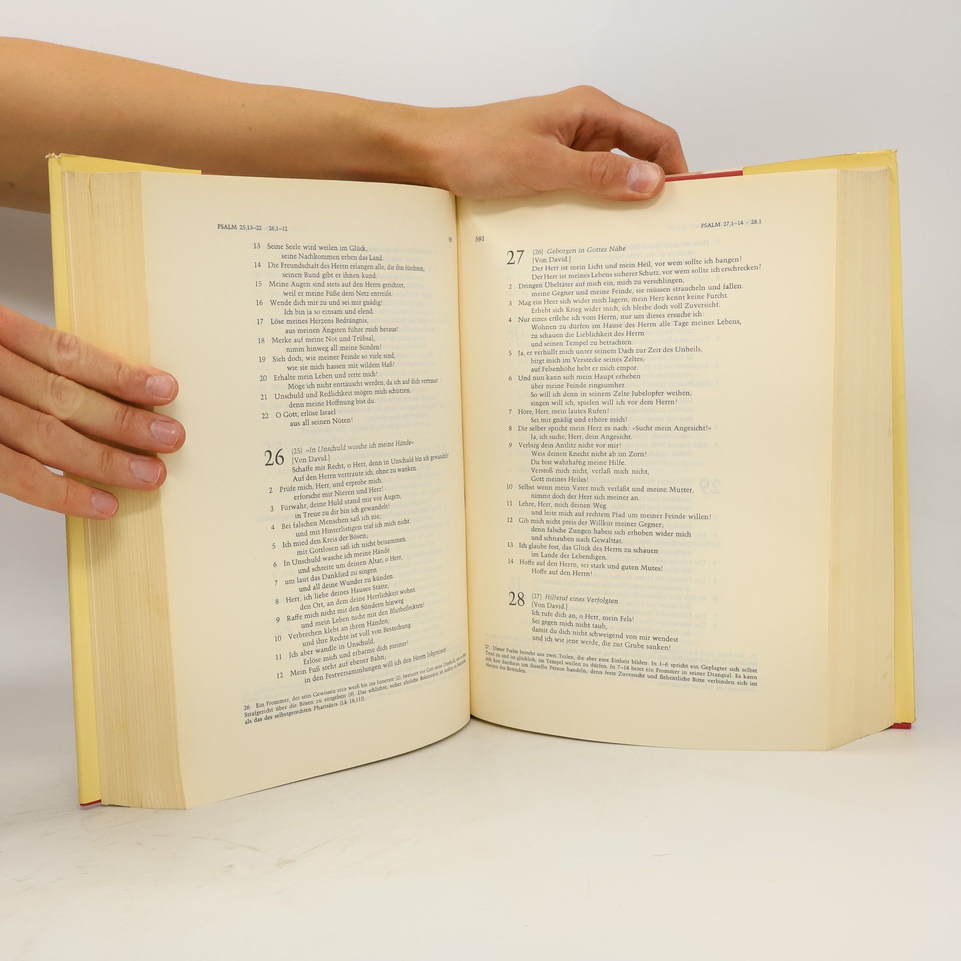 kolektiv Die Bibel. Altes Und Neues Testament
