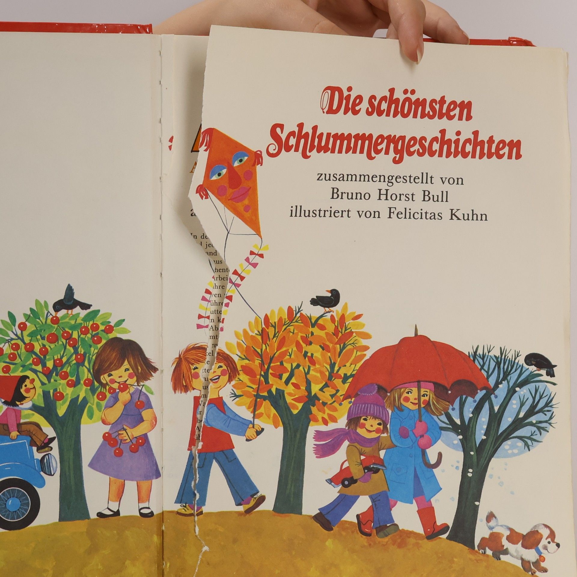 Collectif d'auteurs Die schönsten Schlummergeschichten