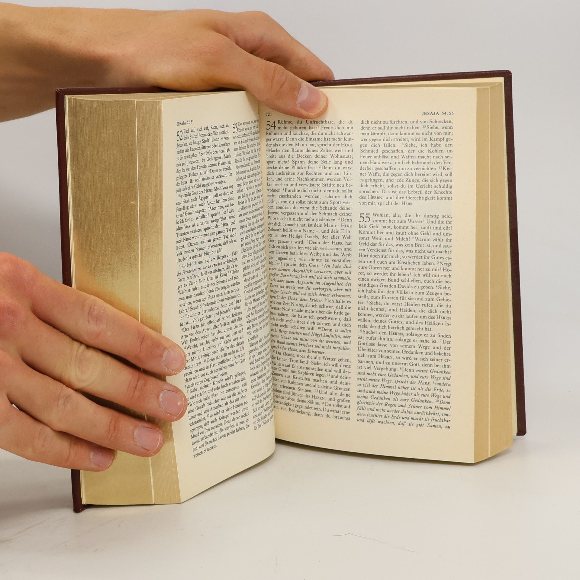 Mathaeus Merian Die Bibel, Oder Die Ganze Heilige Schrift Des Alten Und Neuen Testaments