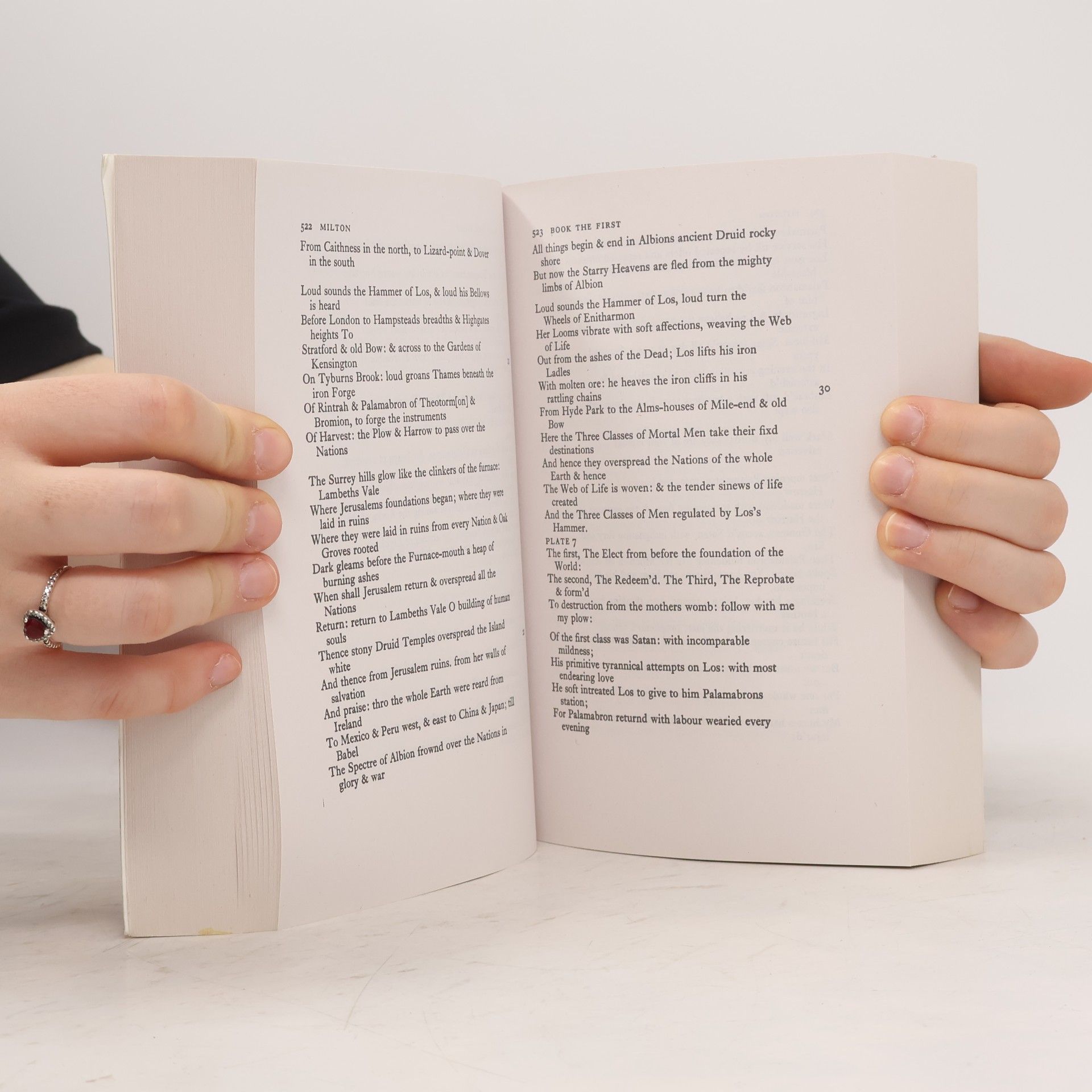 William Blake The complete poems