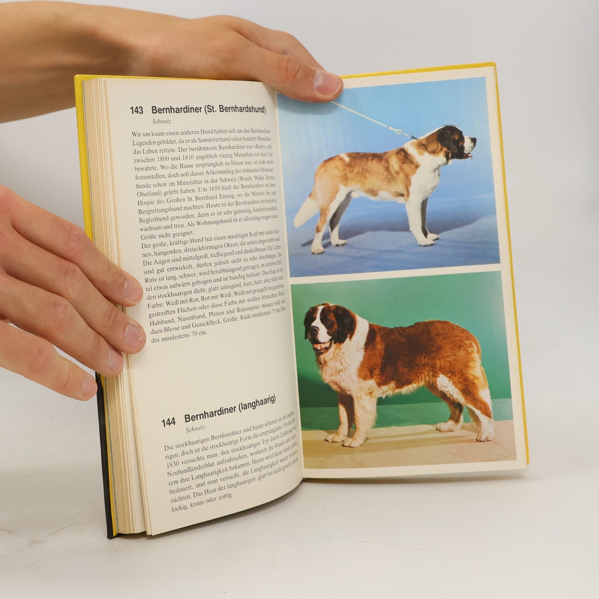 Bo Bengtson Die Hunde der Welt