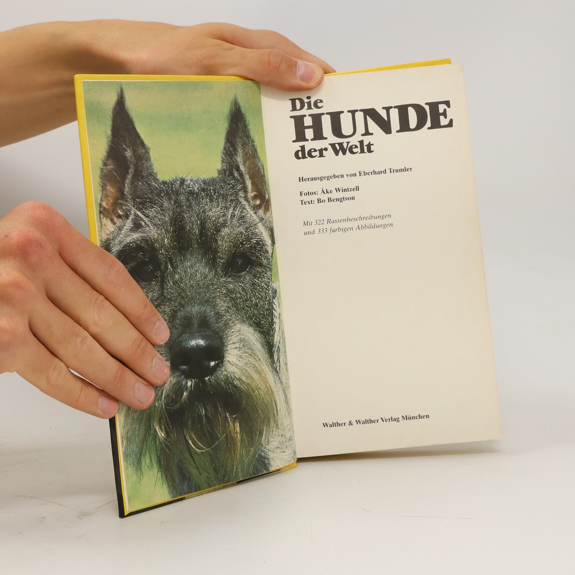 Bo Bengtson Die Hunde der Welt
