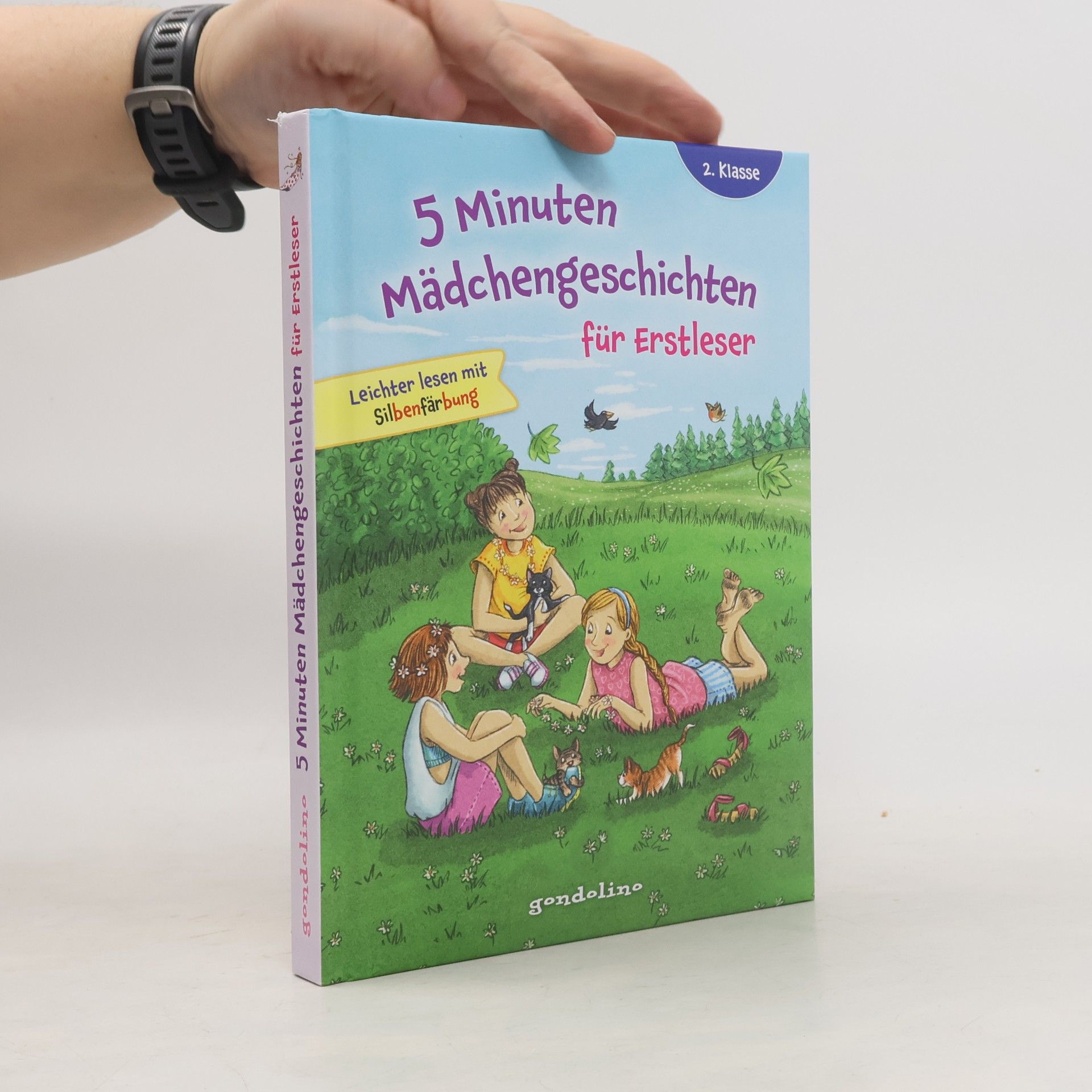 Autores varios 5 Minuten Mädchengeschichten für Erstleser