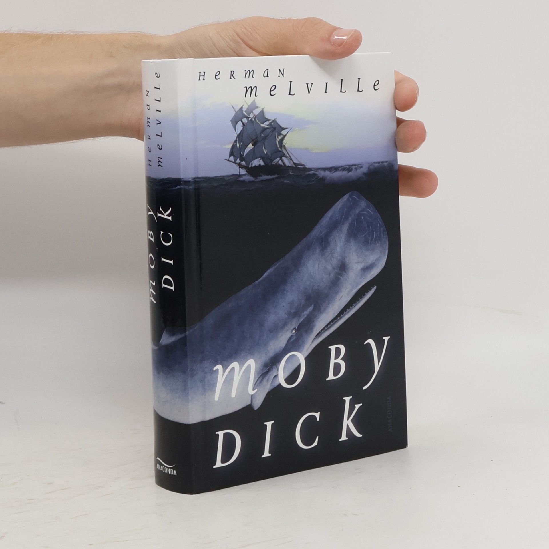 Herman Melville Moby Dick oder der weiße Wal