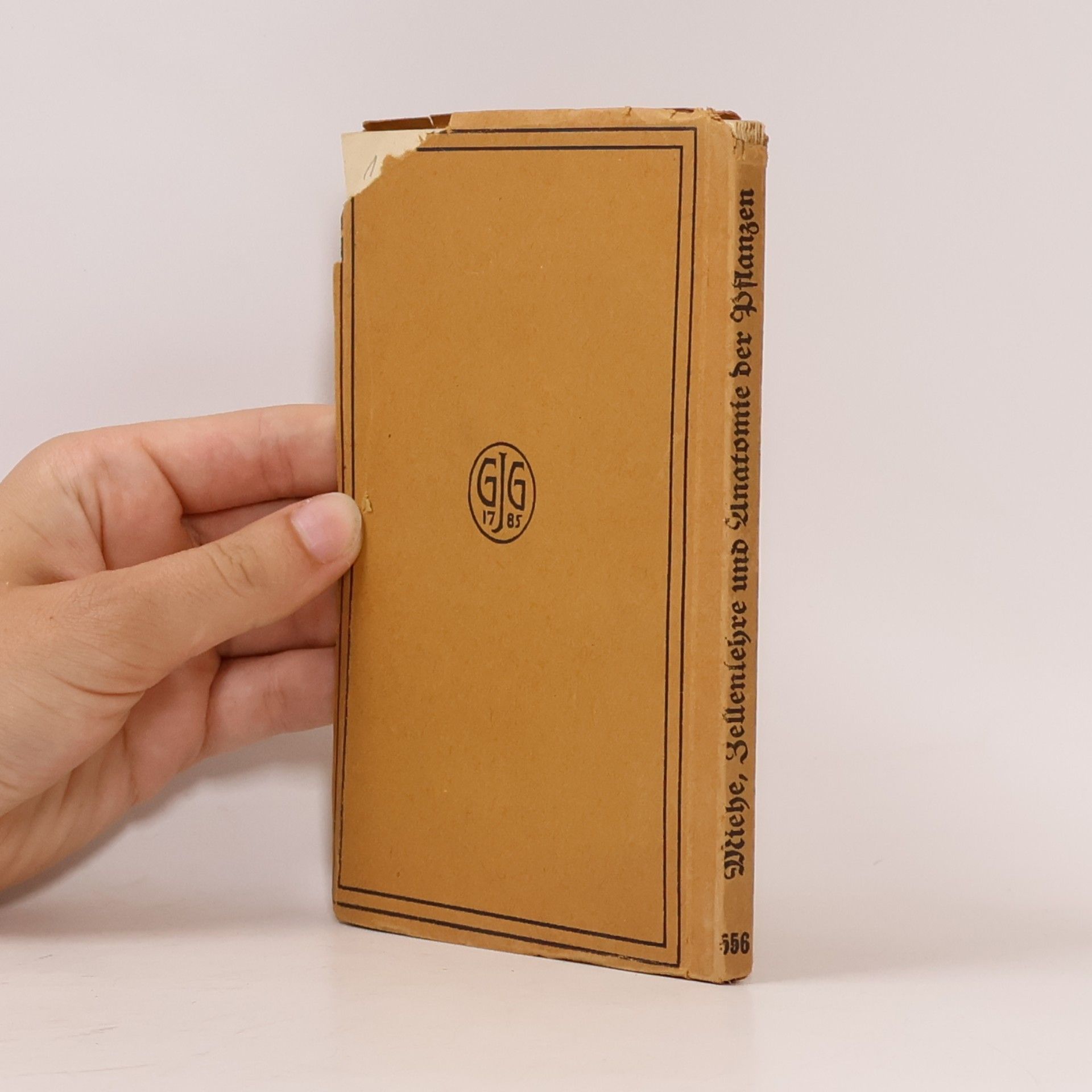 Hugo Miehe Zellenlehre und Anatomie der Pflanzen
