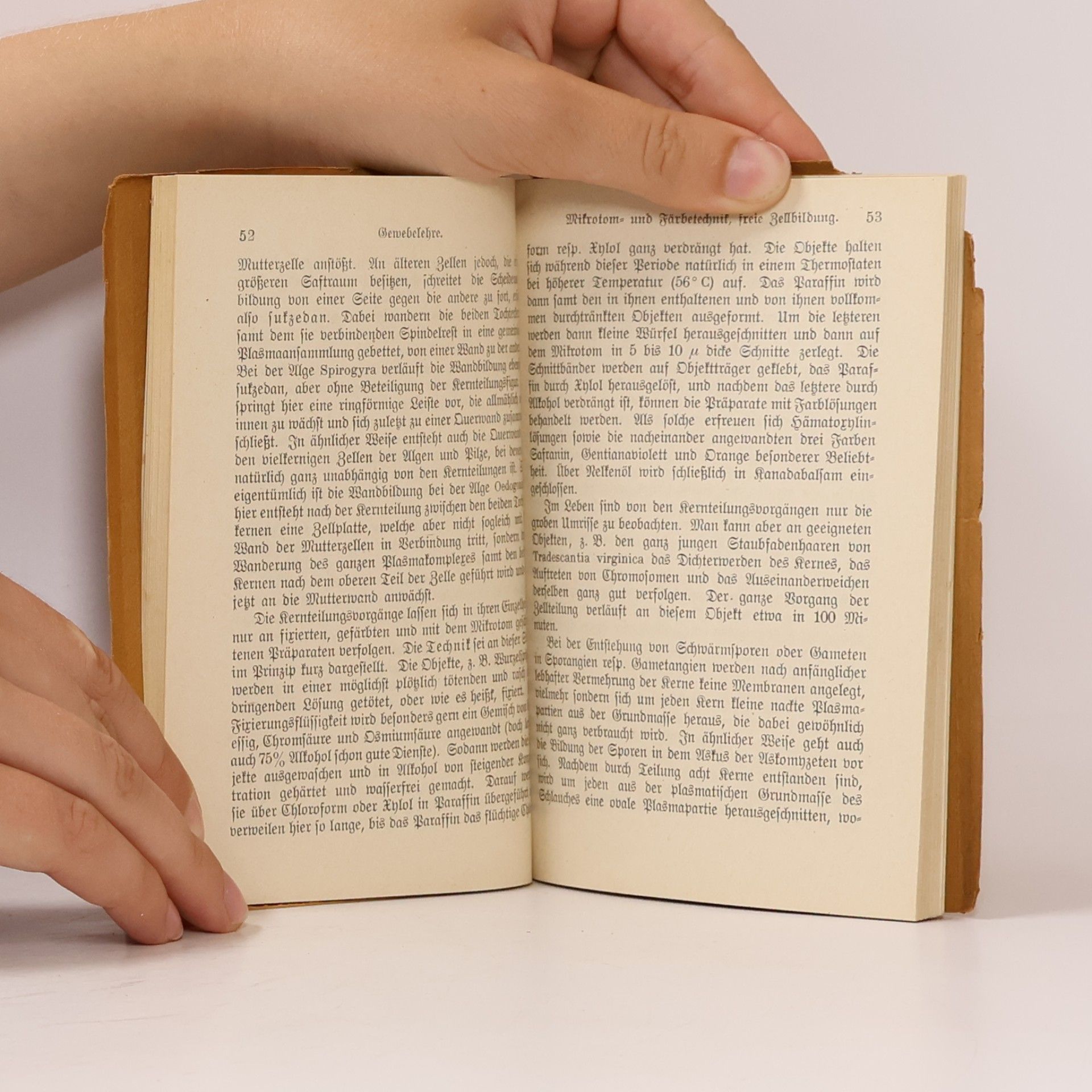 Hugo Miehe Zellenlehre und Anatomie der Pflanzen