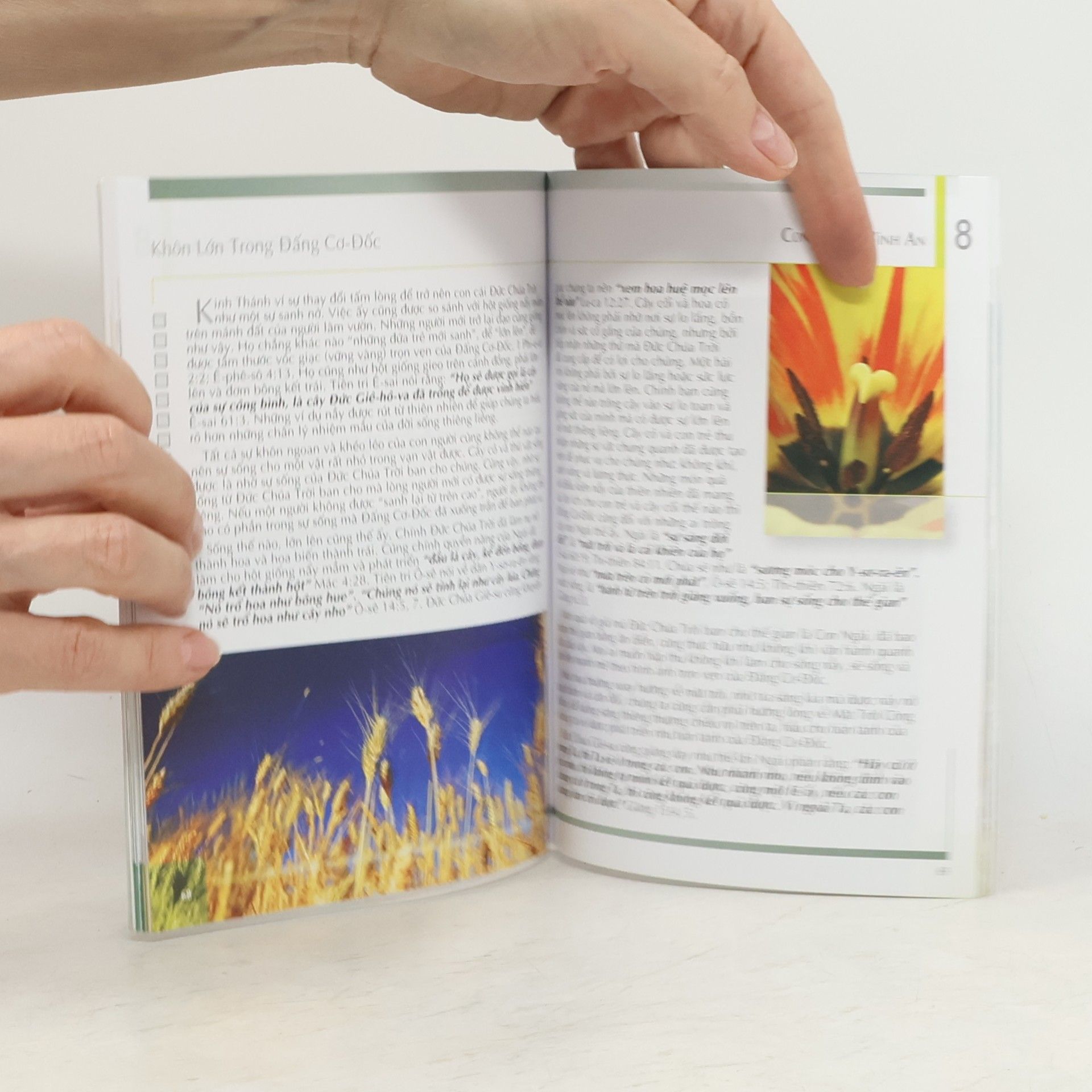 Ellen G. White Con đường bình an