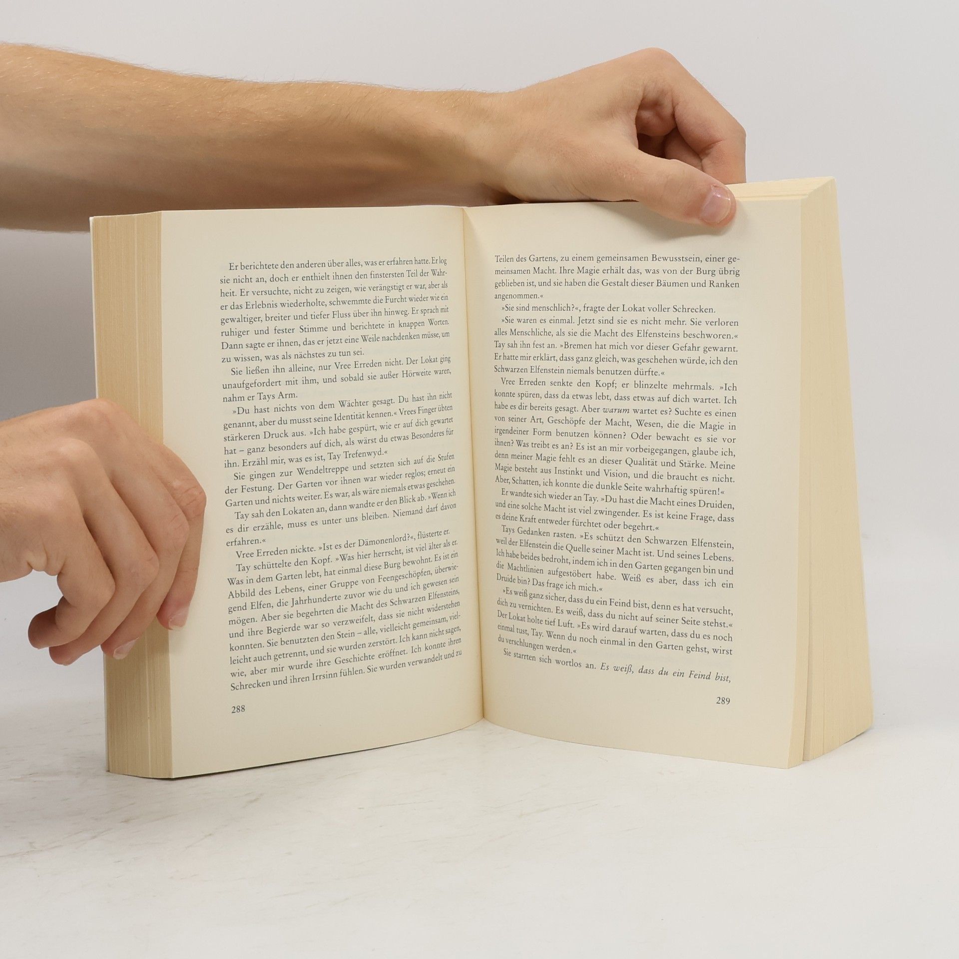 Terry Brooks Der Ausgestossene von Shannara