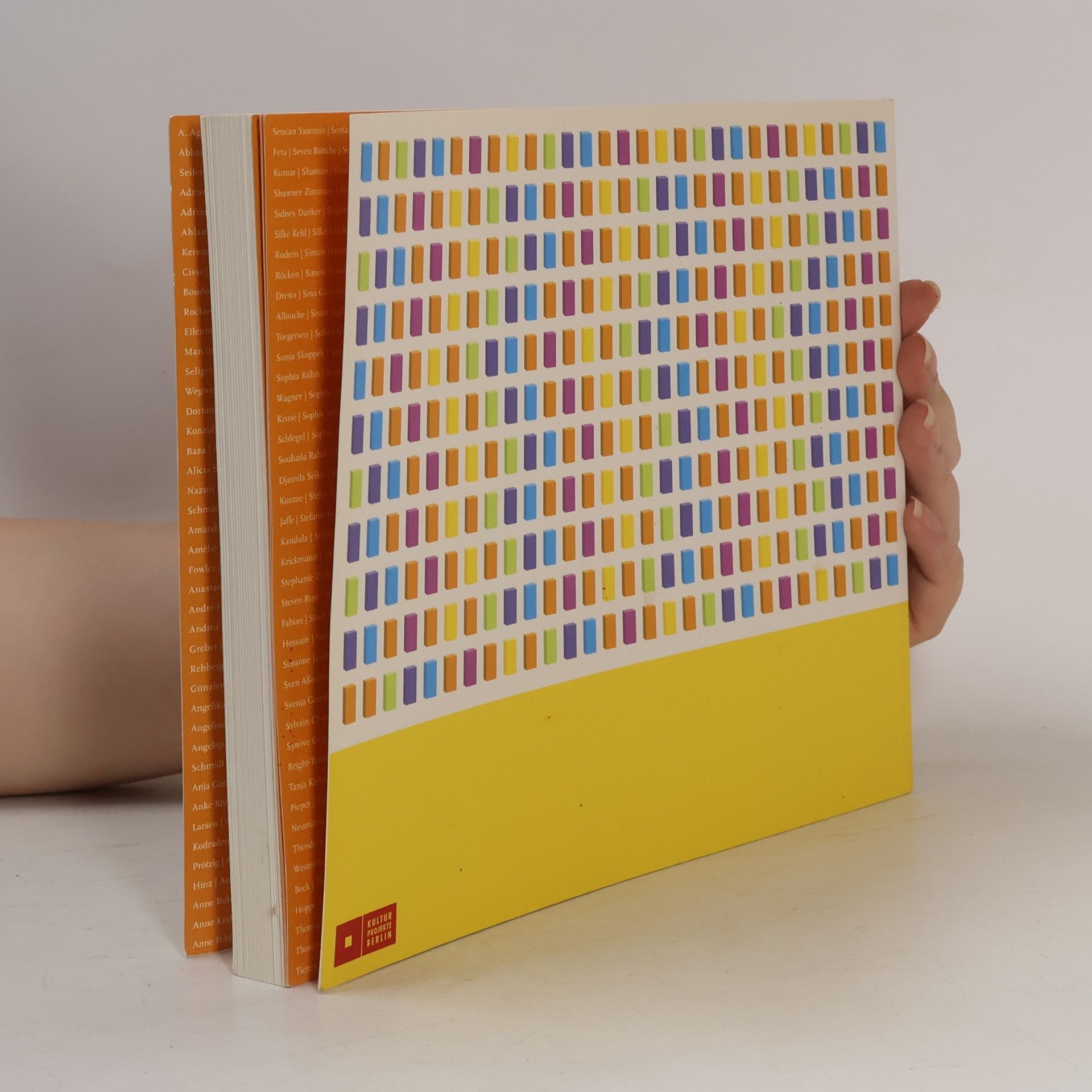 Autorenkollektiv Dominobuch - Geschichte(n) mit Dominoeffekt