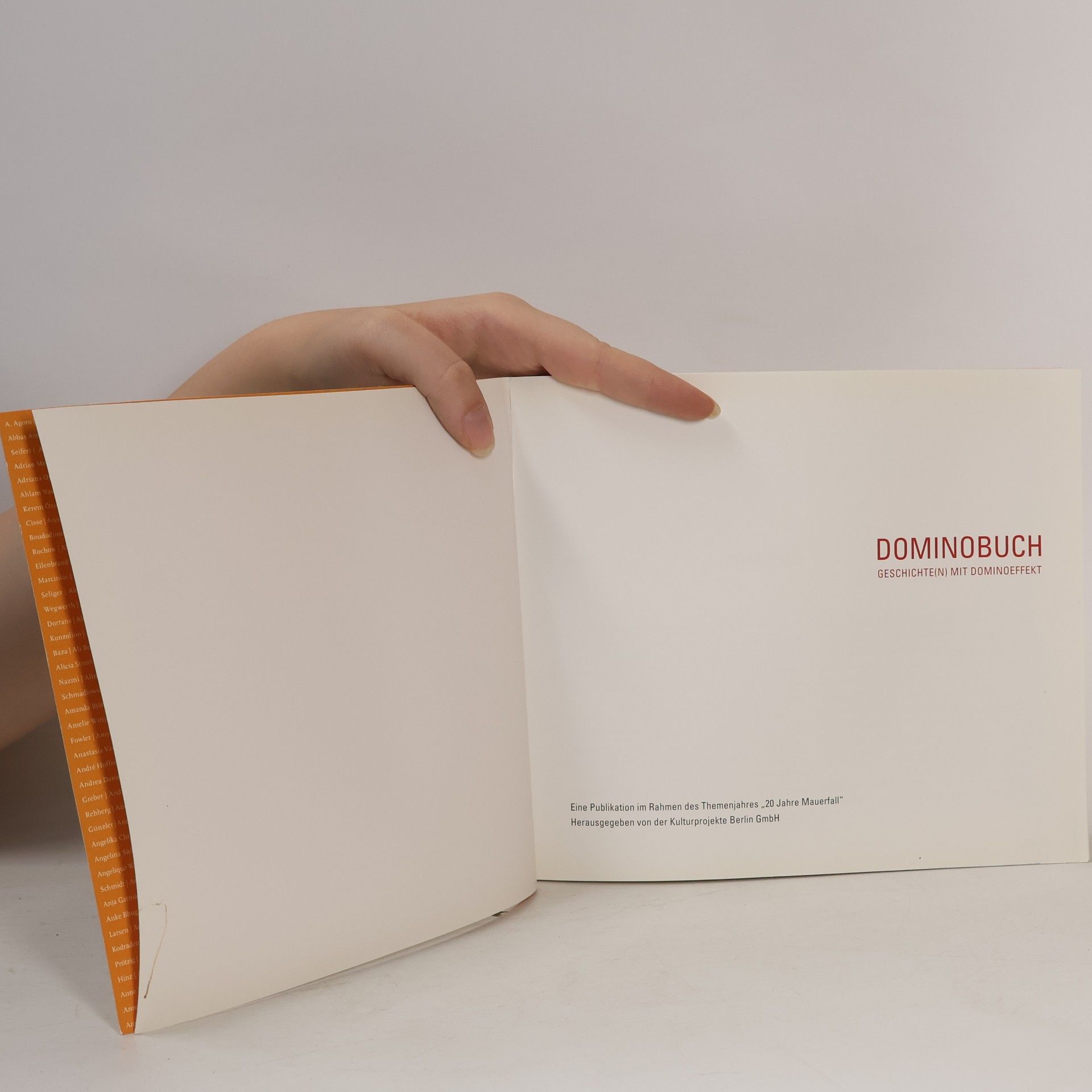 Autorenkollektiv Dominobuch - Geschichte(n) mit Dominoeffekt