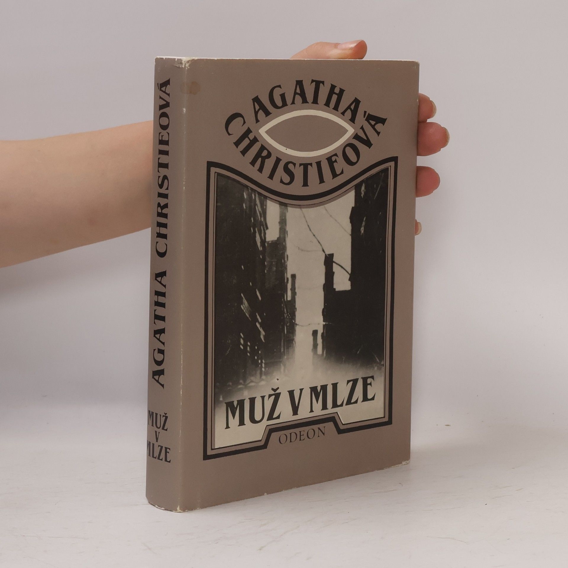 Agatha Christie Muž v mlze