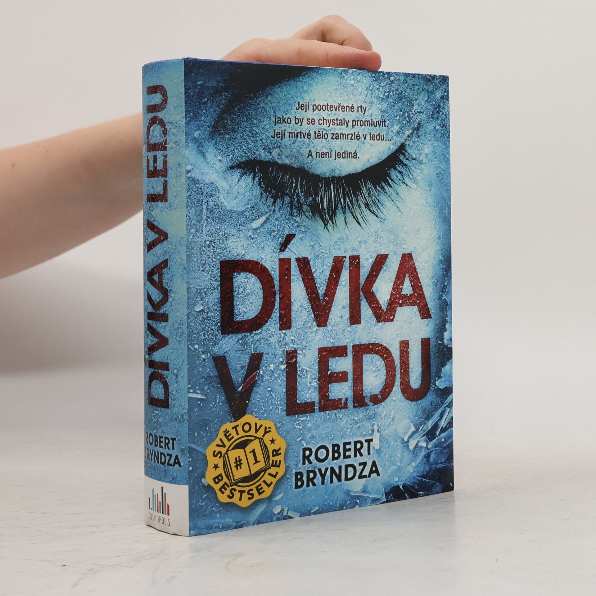 Robert Bryndza Dívka v ledu