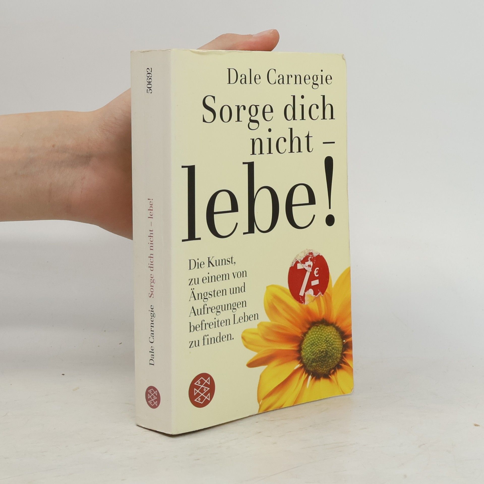 Dale Carnegie Sorge dich nicht - lebe!