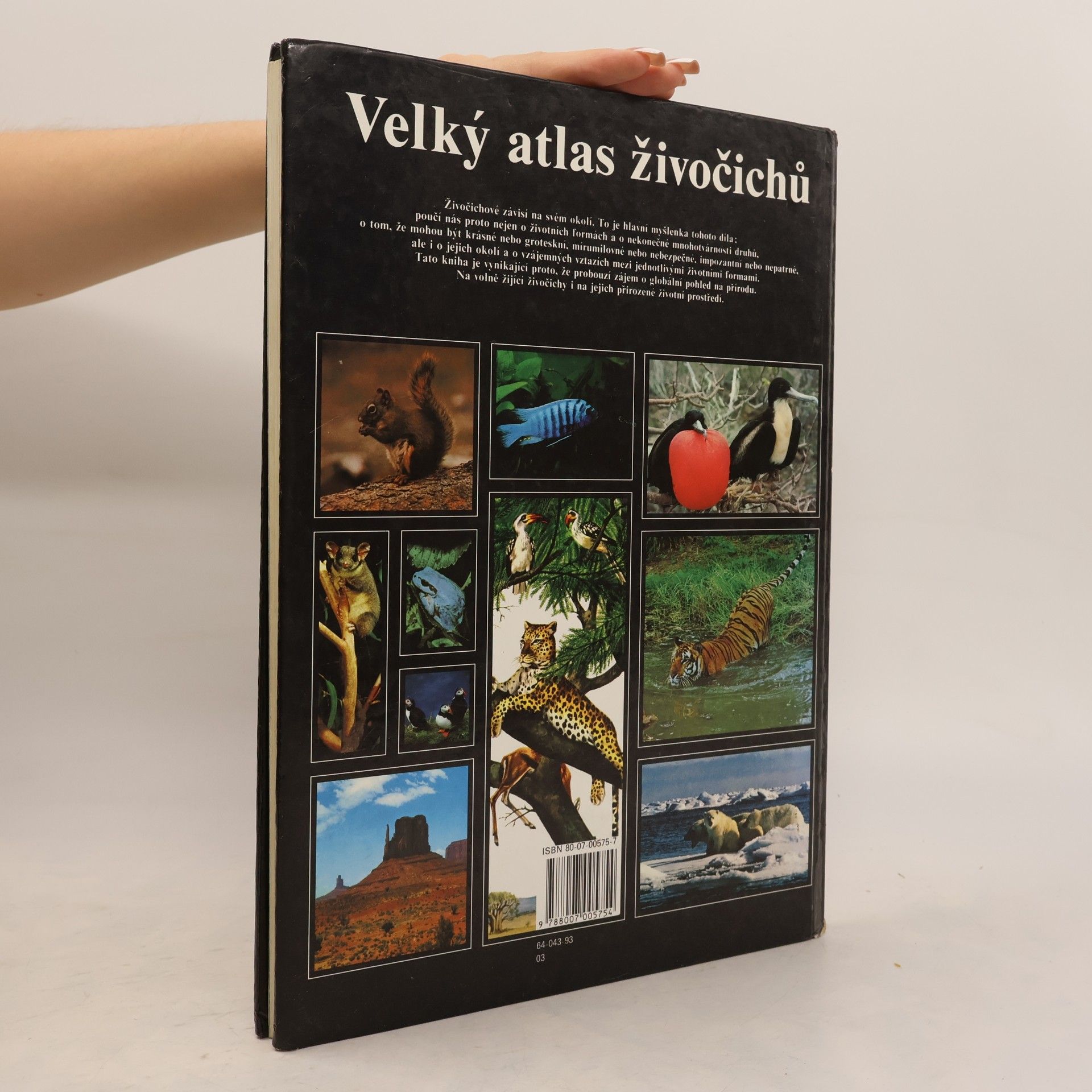 Autorenkollektiv Velký atlas živočichů