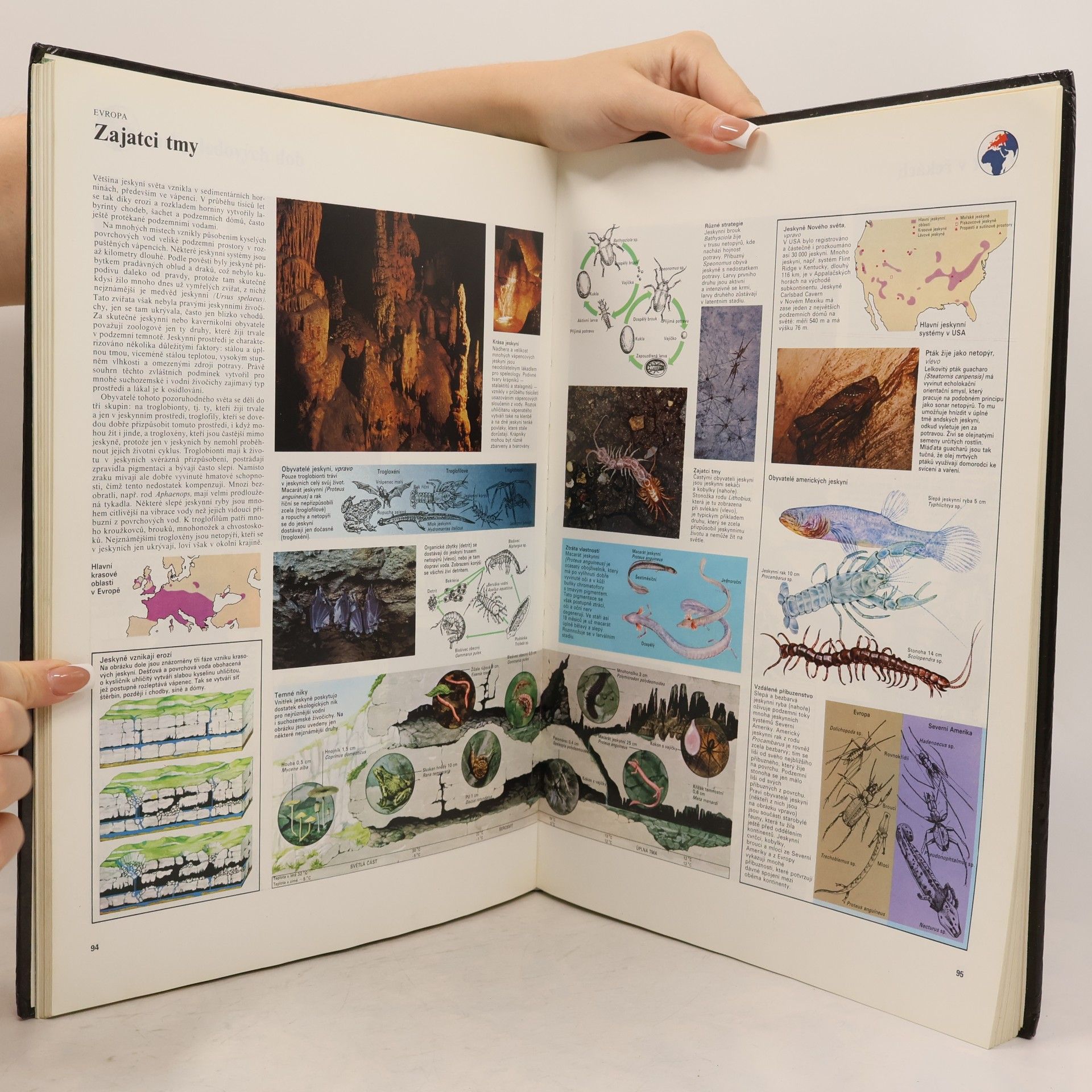 Autorenkollektiv Velký atlas živočichů