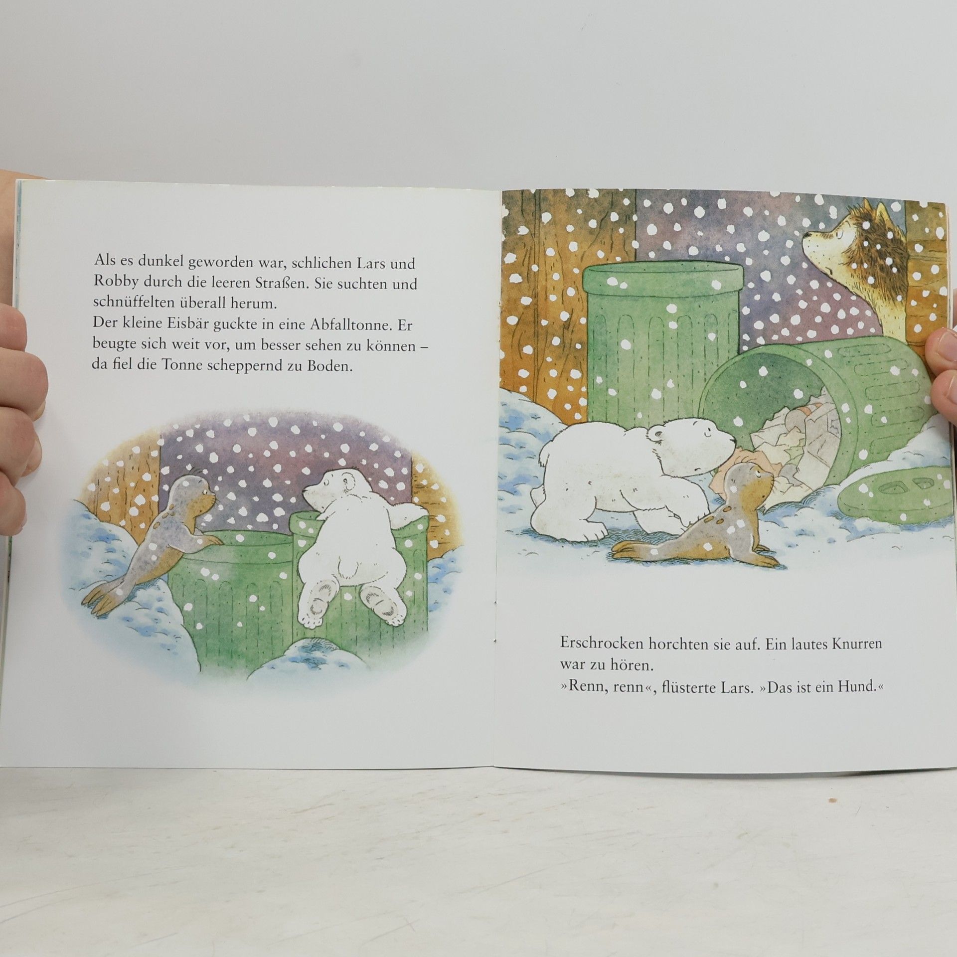 Gail Donovan Maxi Bilderbuch: Der kleine Eisbär, Lars ist ganz schön mutig