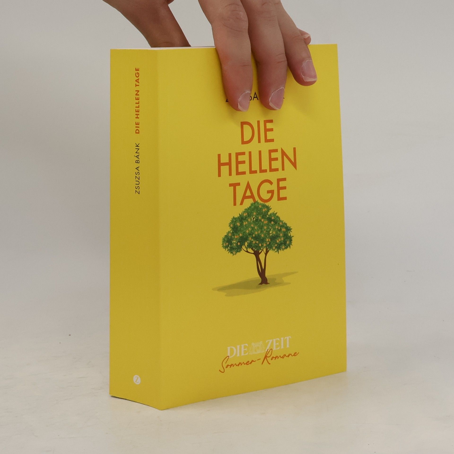 Zsuzsa Bánk Die hellen Tage