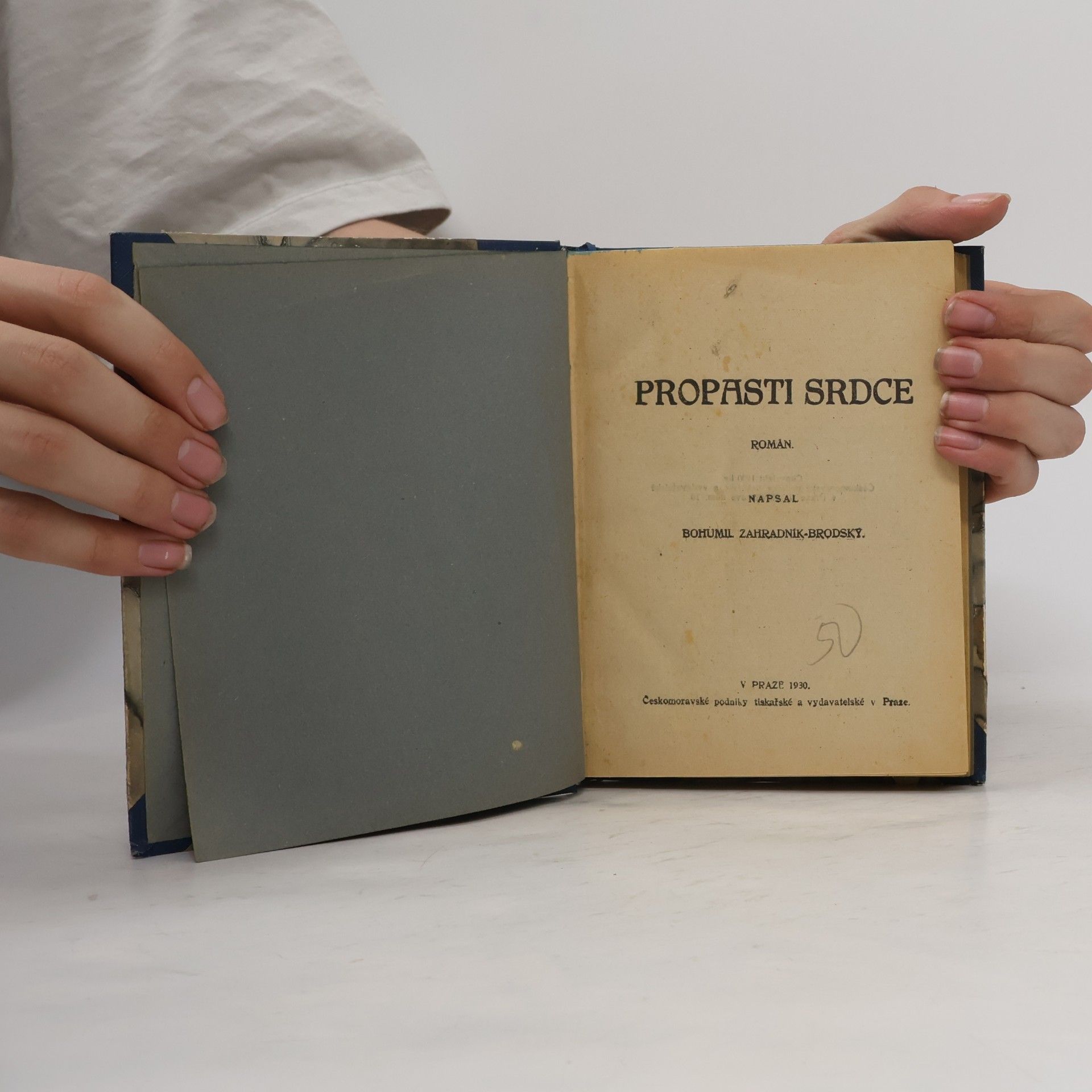 Bohumil Zahradník Brodský Propasti srdce