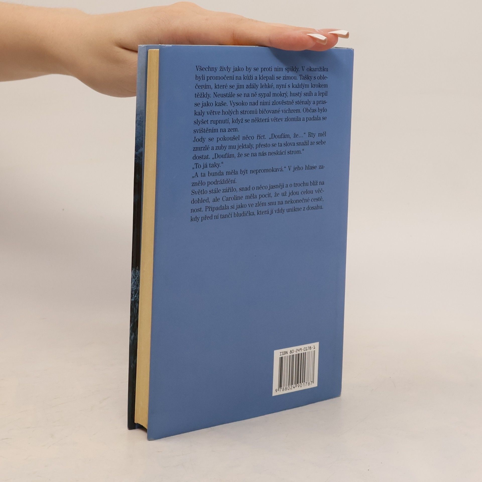 Rosamunde Pilcher Jarní vánice