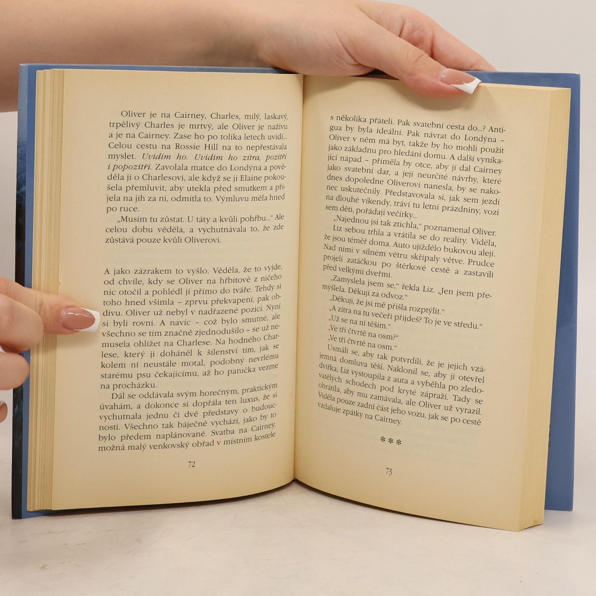 Rosamunde Pilcher Jarní vánice