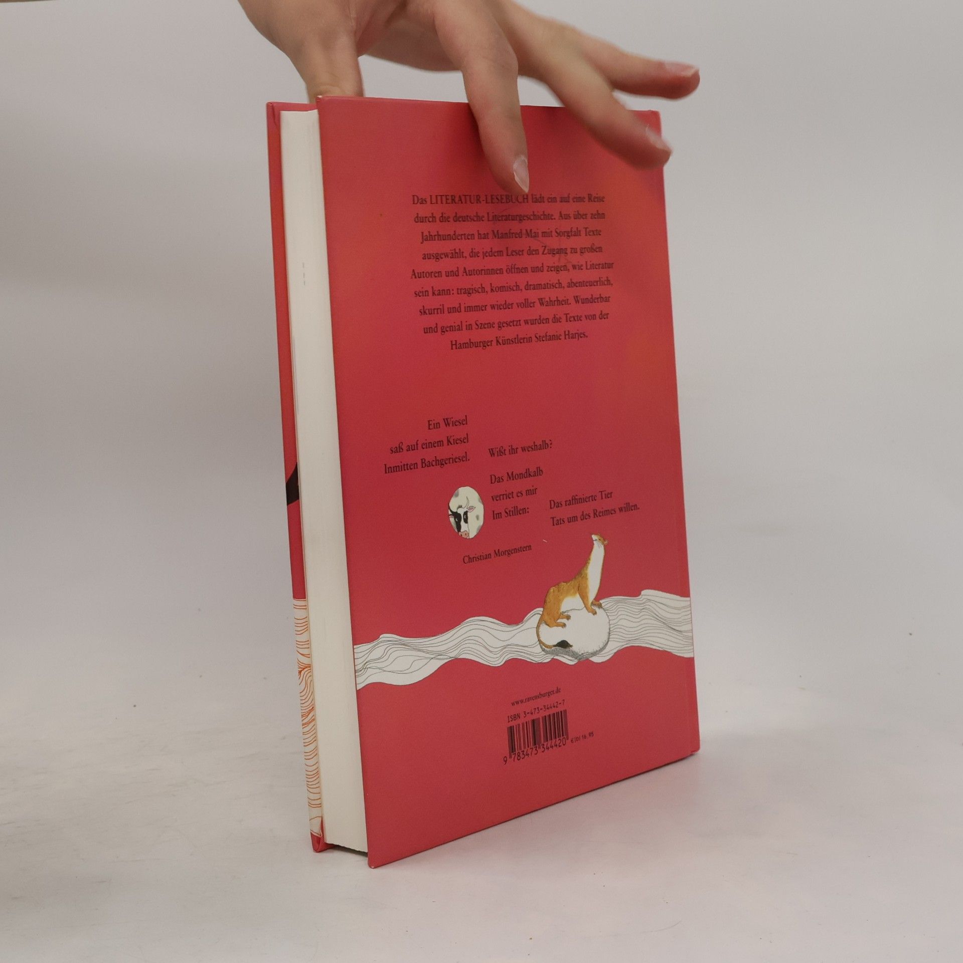 Manfred Mai Das Literatur-Lesebuch