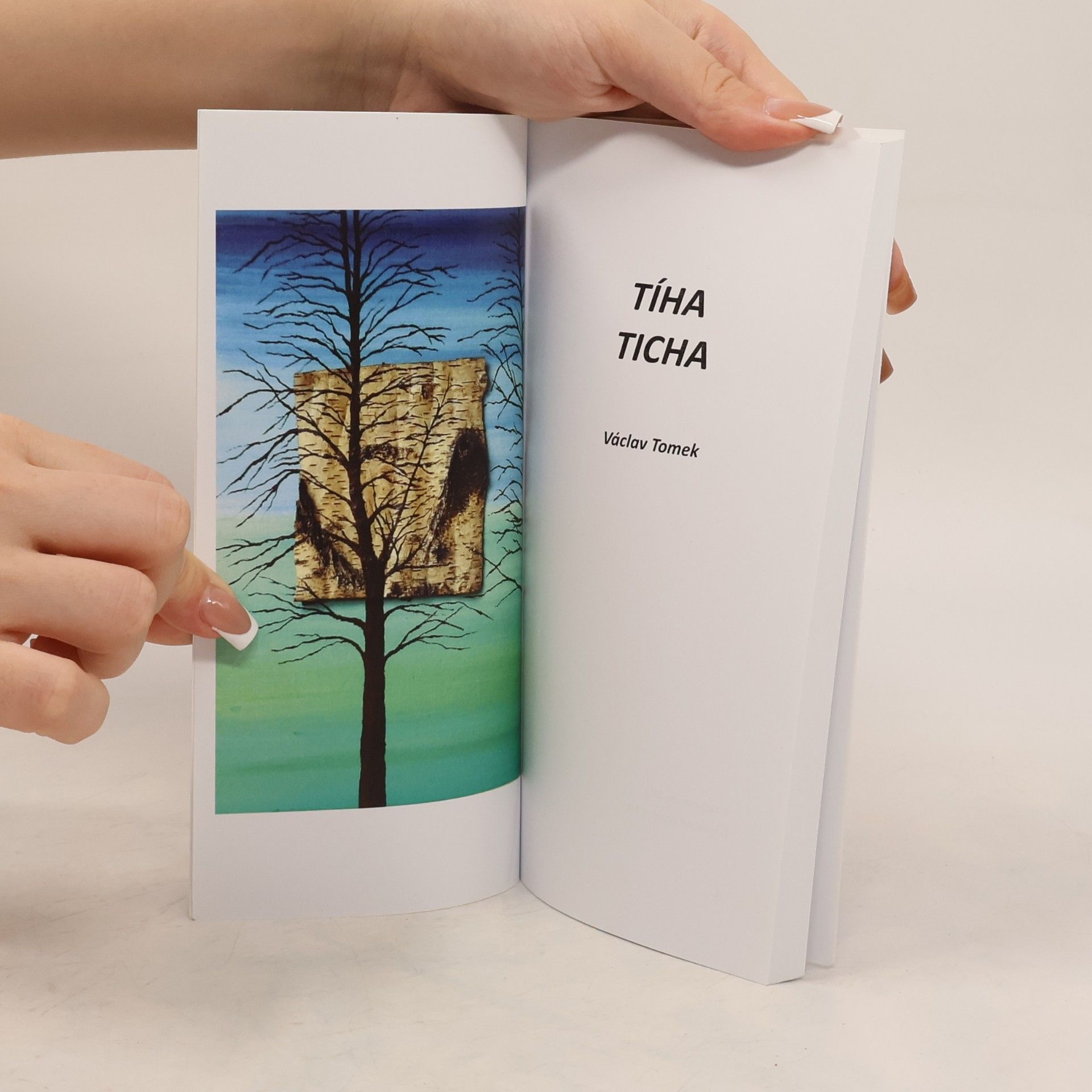 Václav Tomek Tíha ticha