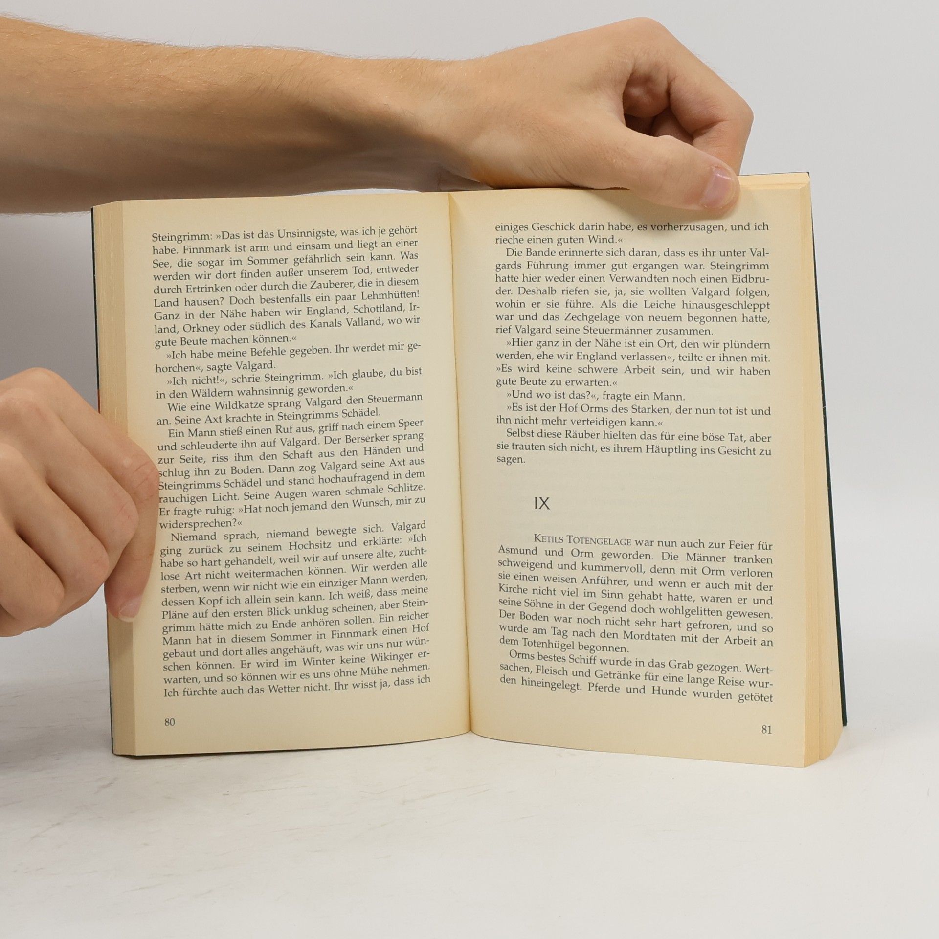 Poul Anderson Das zerbrochene Schwert
