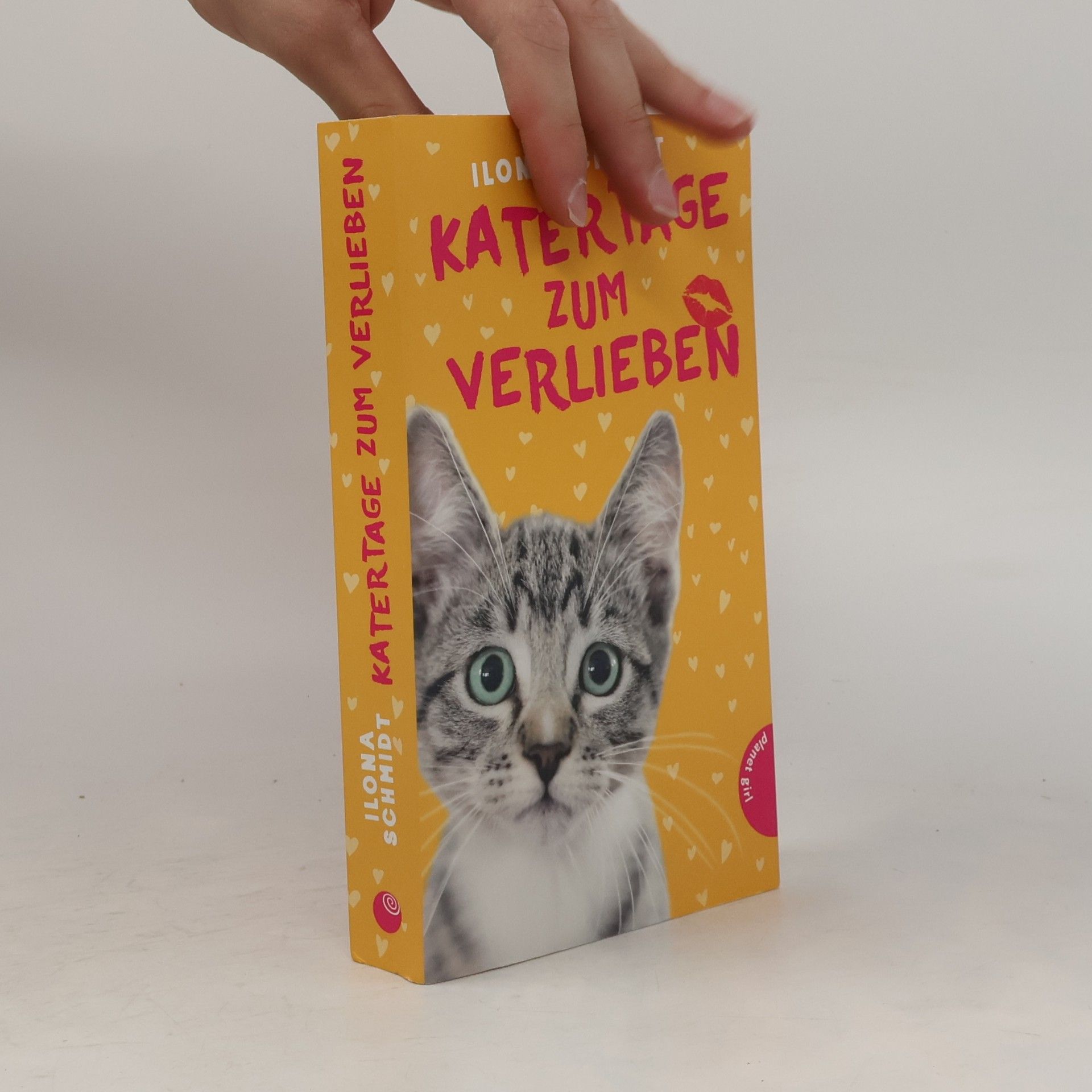 Ilona Schmidt Katertage zum Verlieben