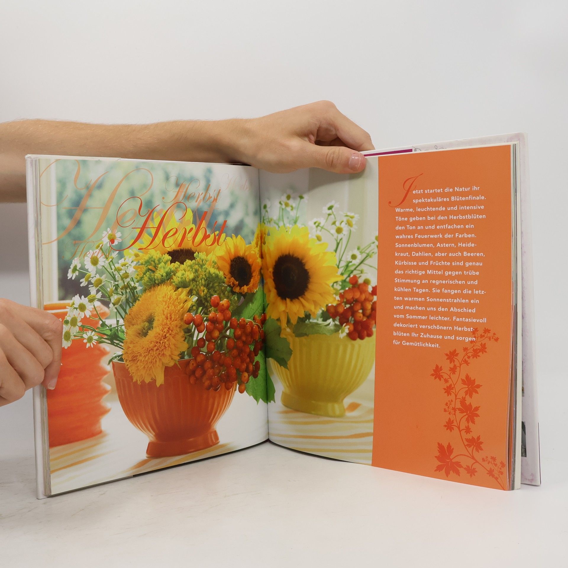 Claudia Mack Kreative Blumenfantasien