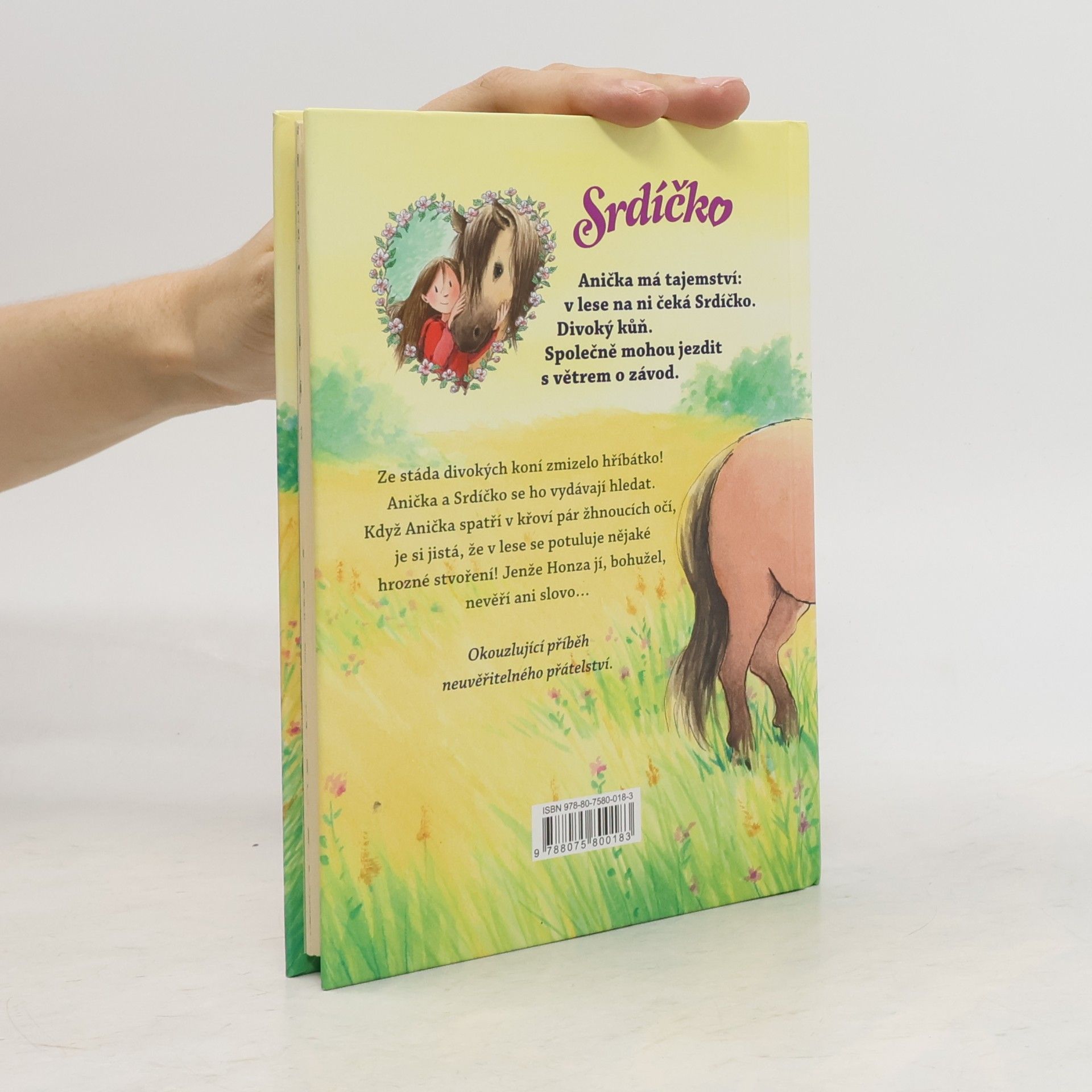 Usch Luhn Srdíčko - Anička zachraňuje hříbátko