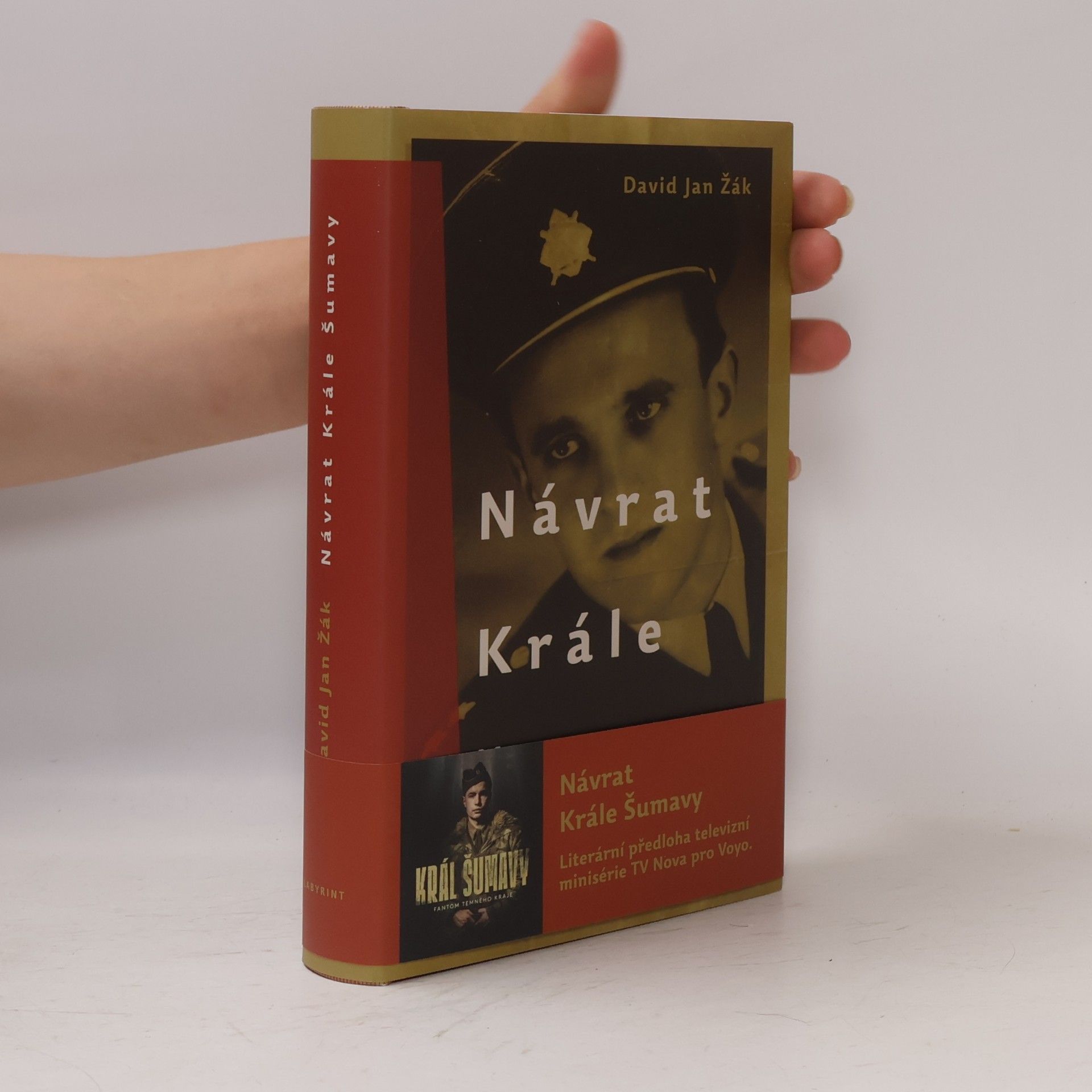 David Jan Žák Návrat Krále Šumavy