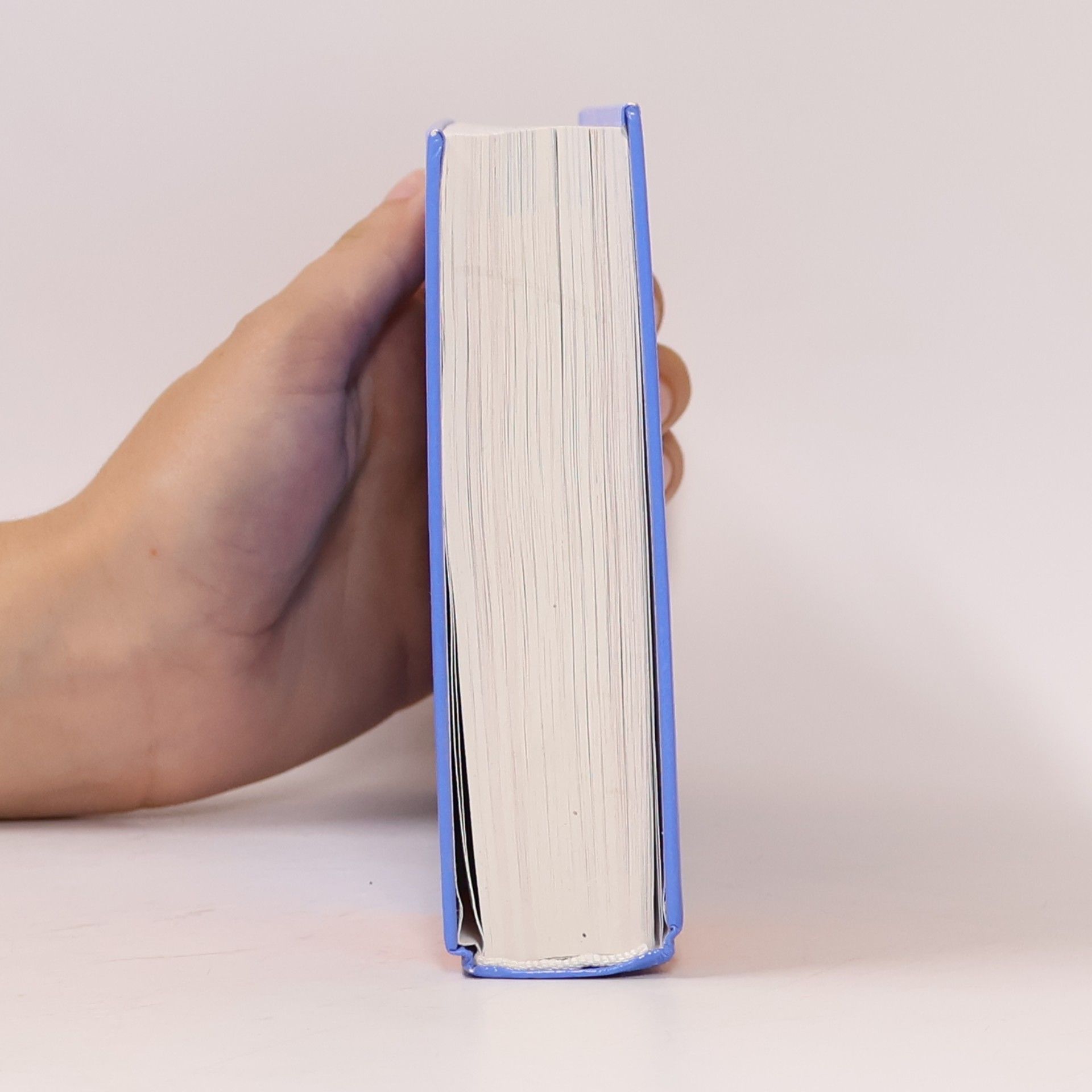 Various authors Schülerduden. Mathematik I