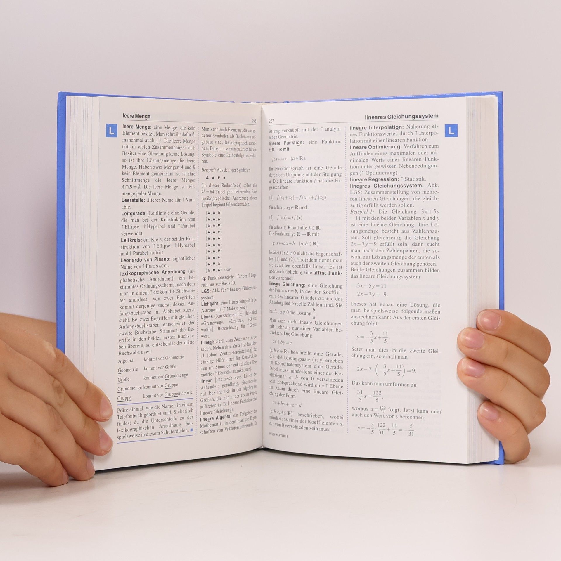 Various authors Schülerduden. Mathematik I