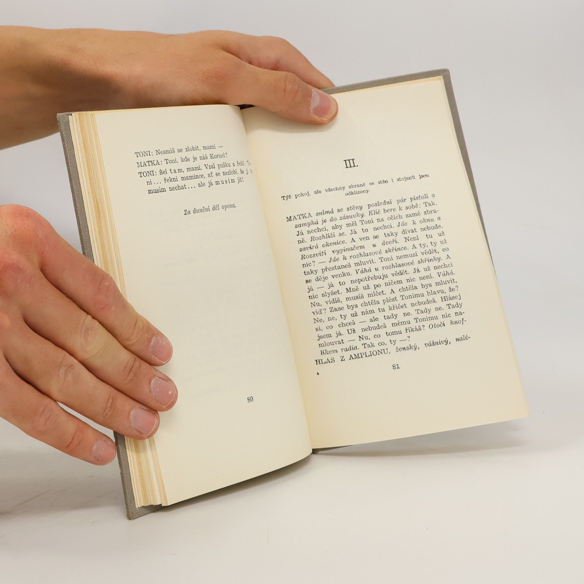 Karel Čapek Matka