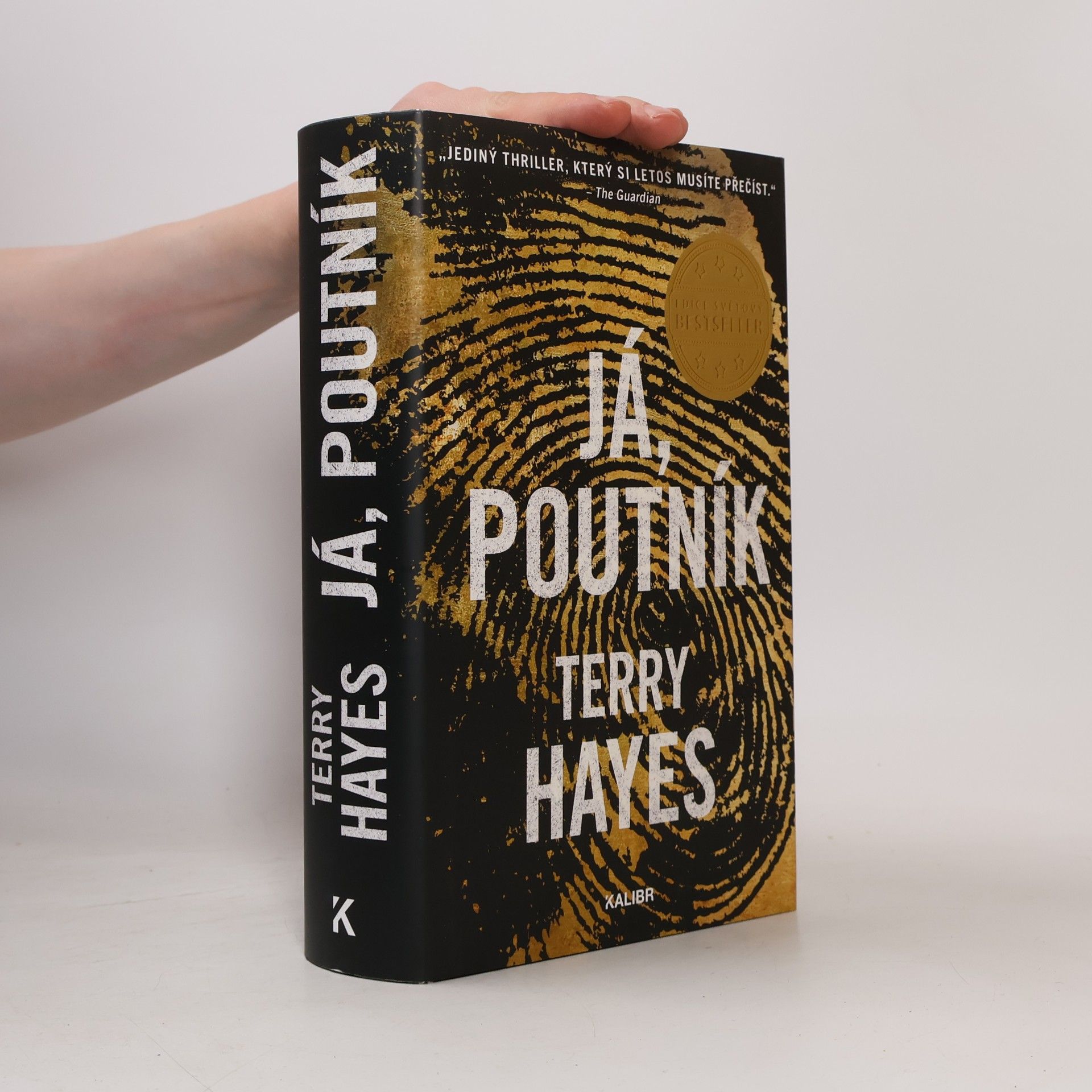 Terry Hayes Já, Poutník