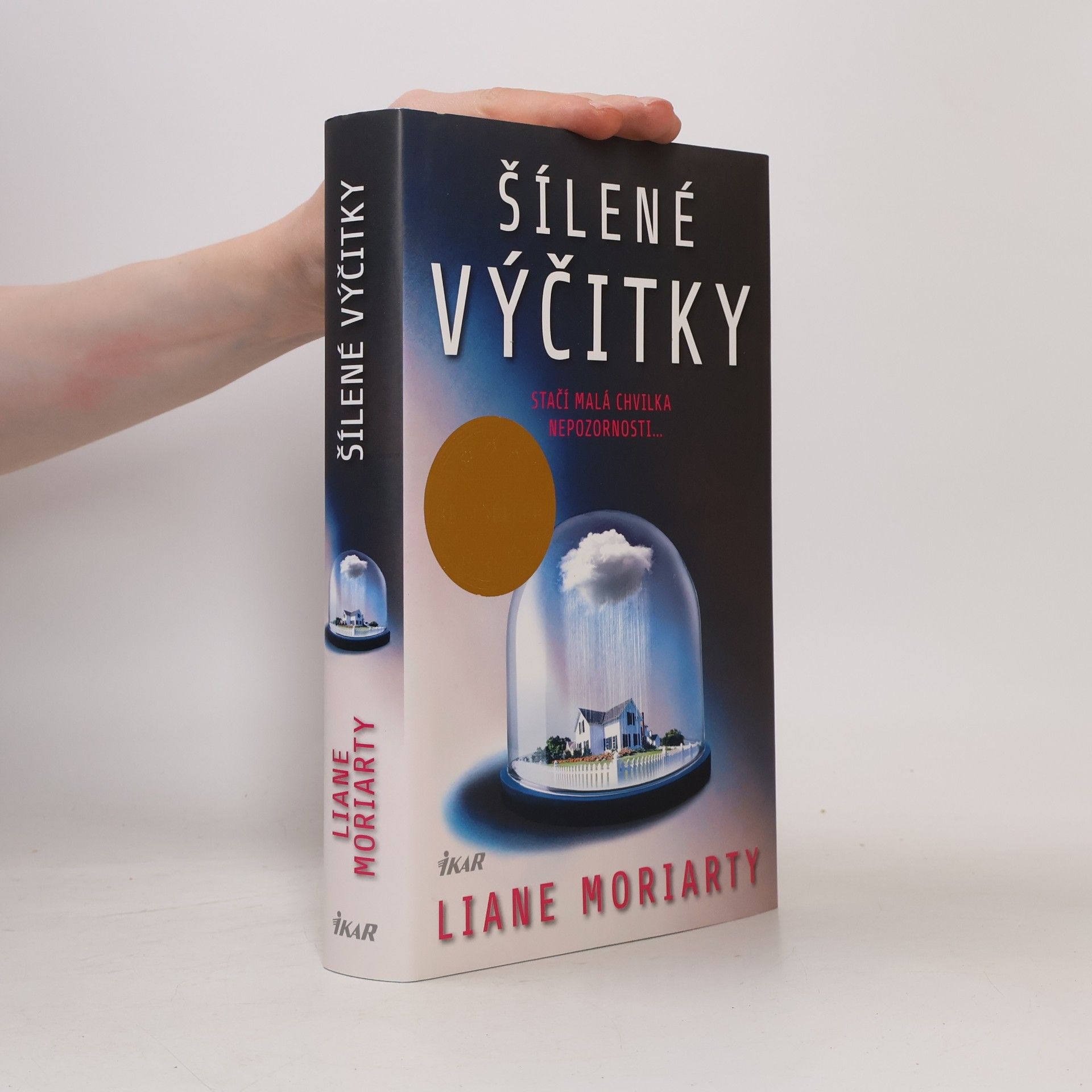 Liane Moriarty Šílené výčitky