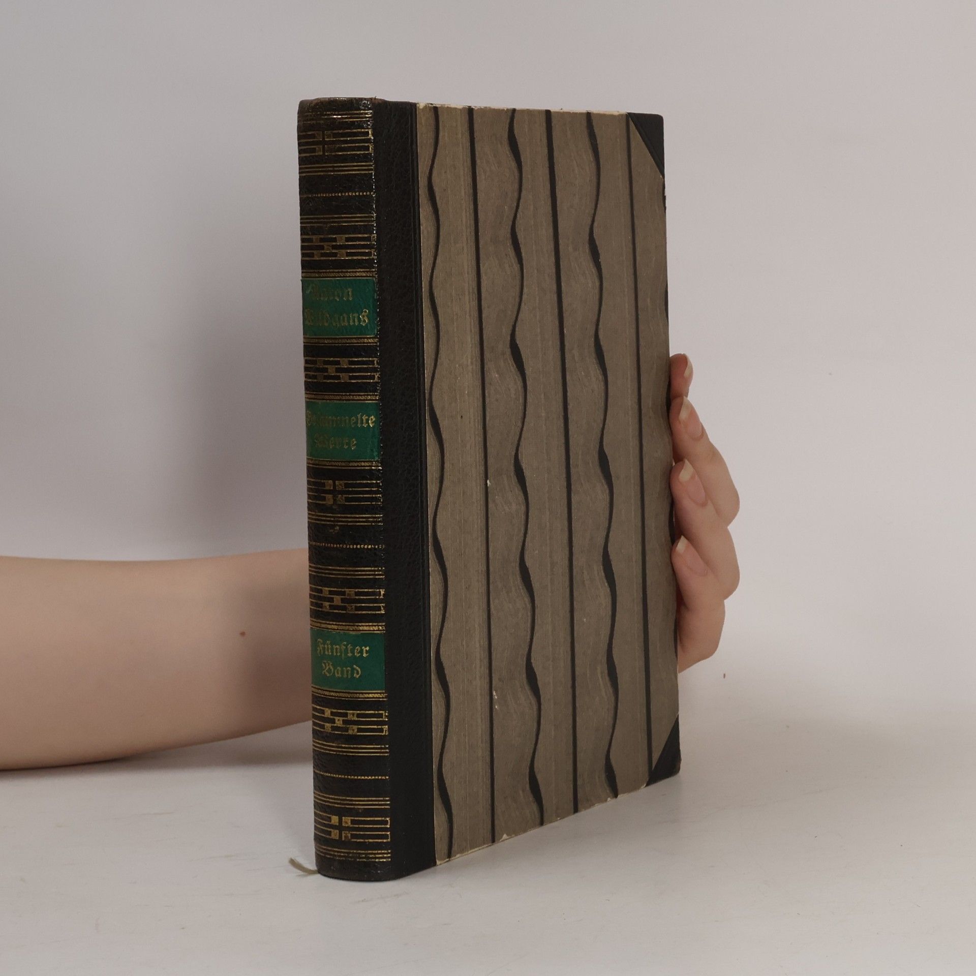 Anton Wildgans Gesammelte Werke 5