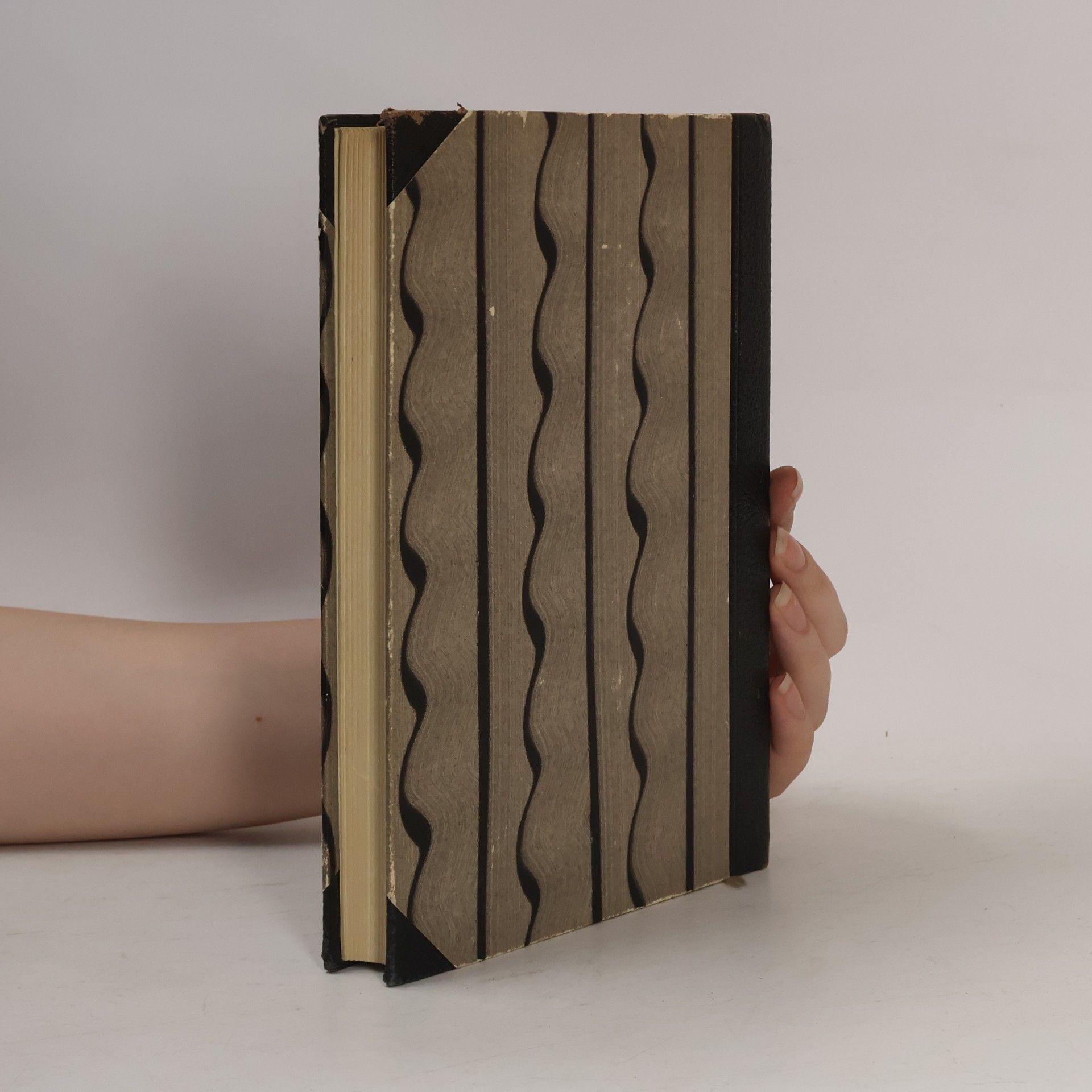Anton Wildgans Gesammelte Werke 5