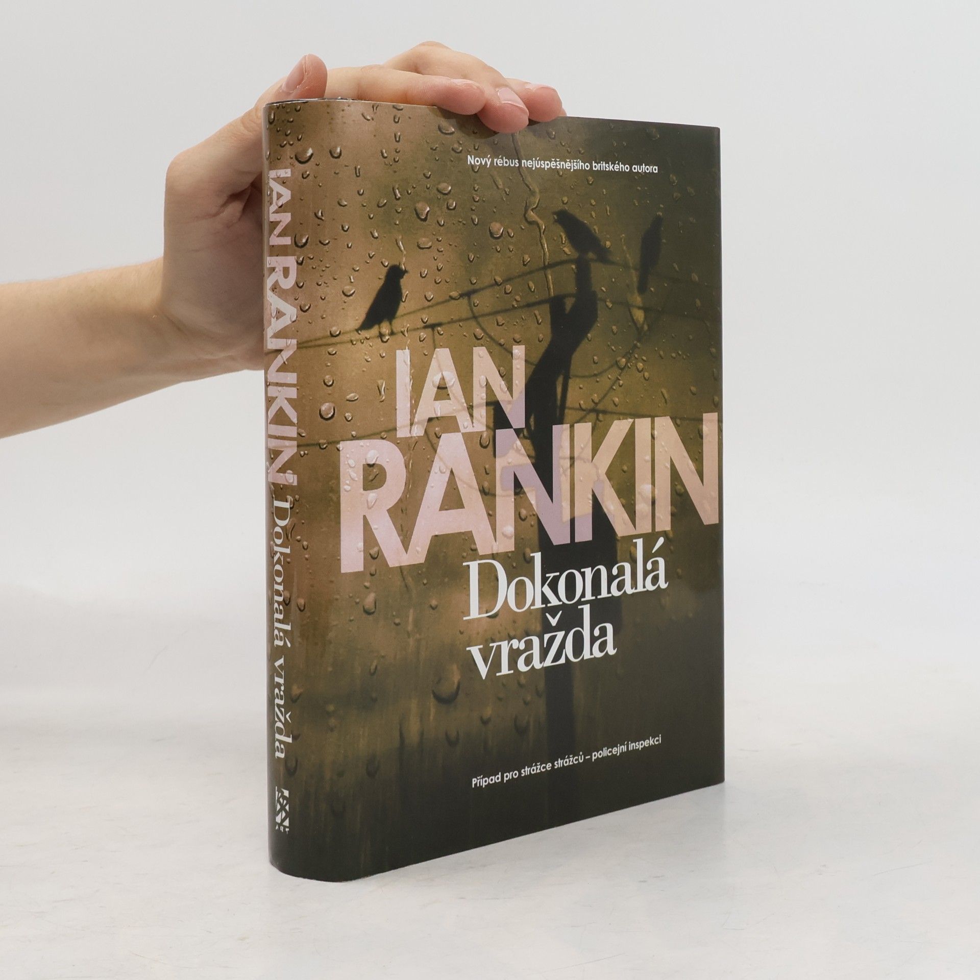 Ian Rankin Dokonalá vražda