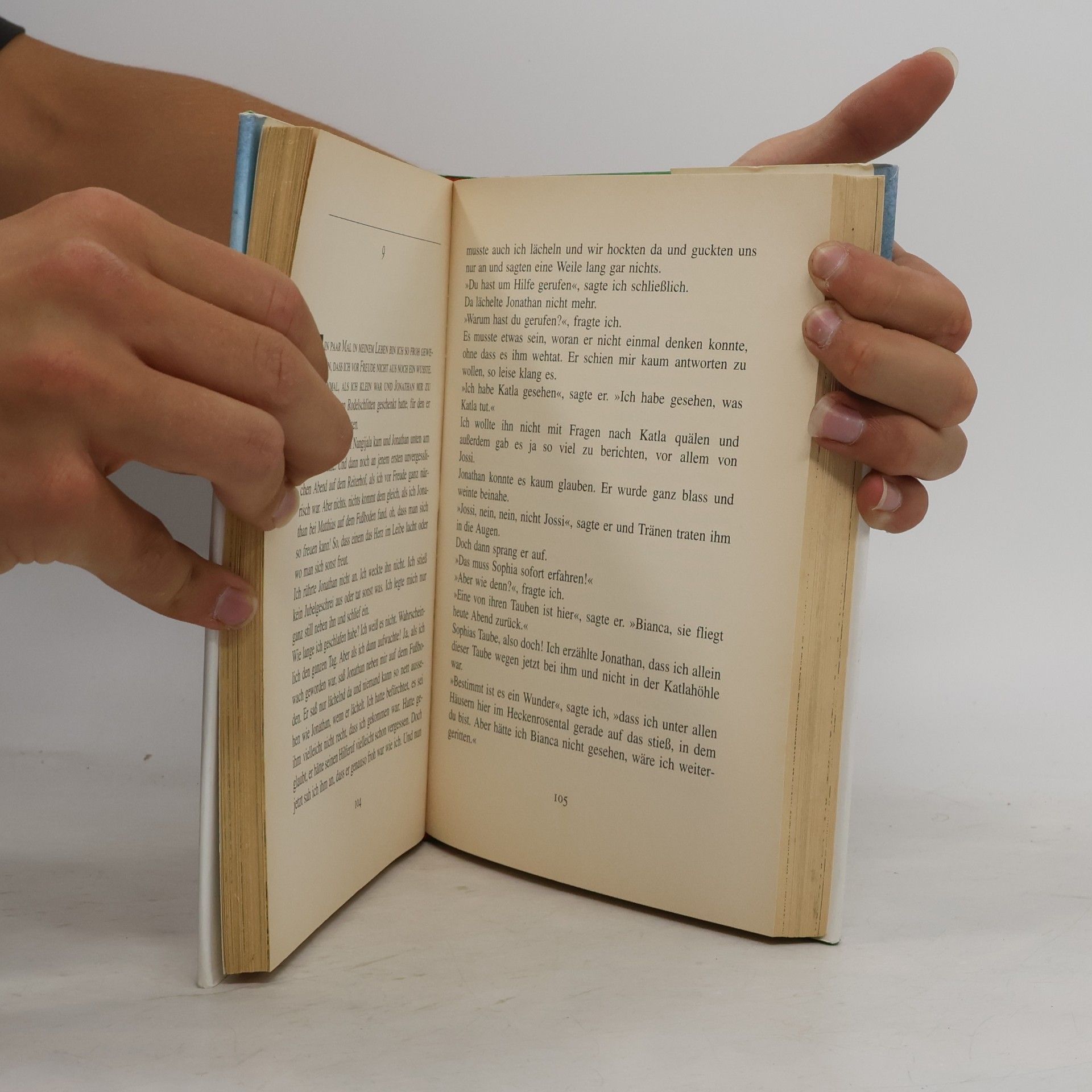 Astrid Lindgren Die Brüder Löwenherz