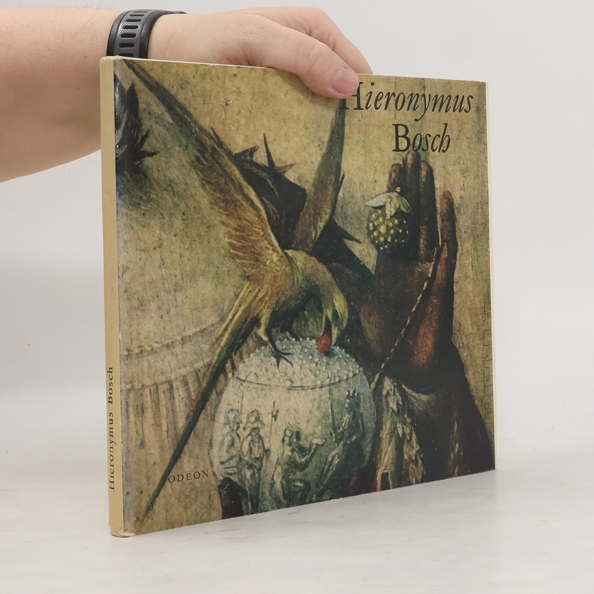 Hana Volavková Hieronymus Bosch